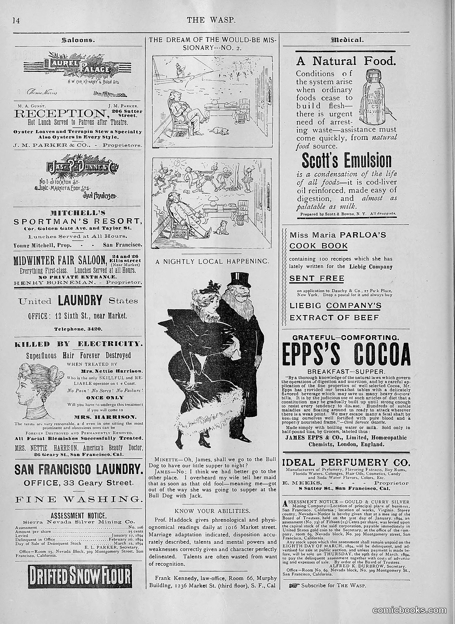 The Wasp — 1894 — page 125 of 552
