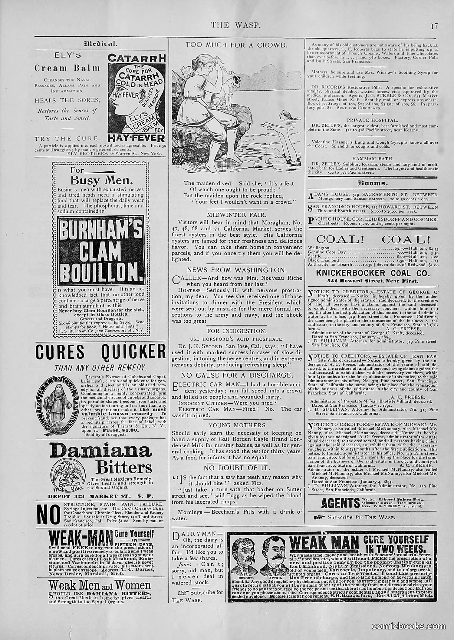 The Wasp — 1894 — page 128 of 552
