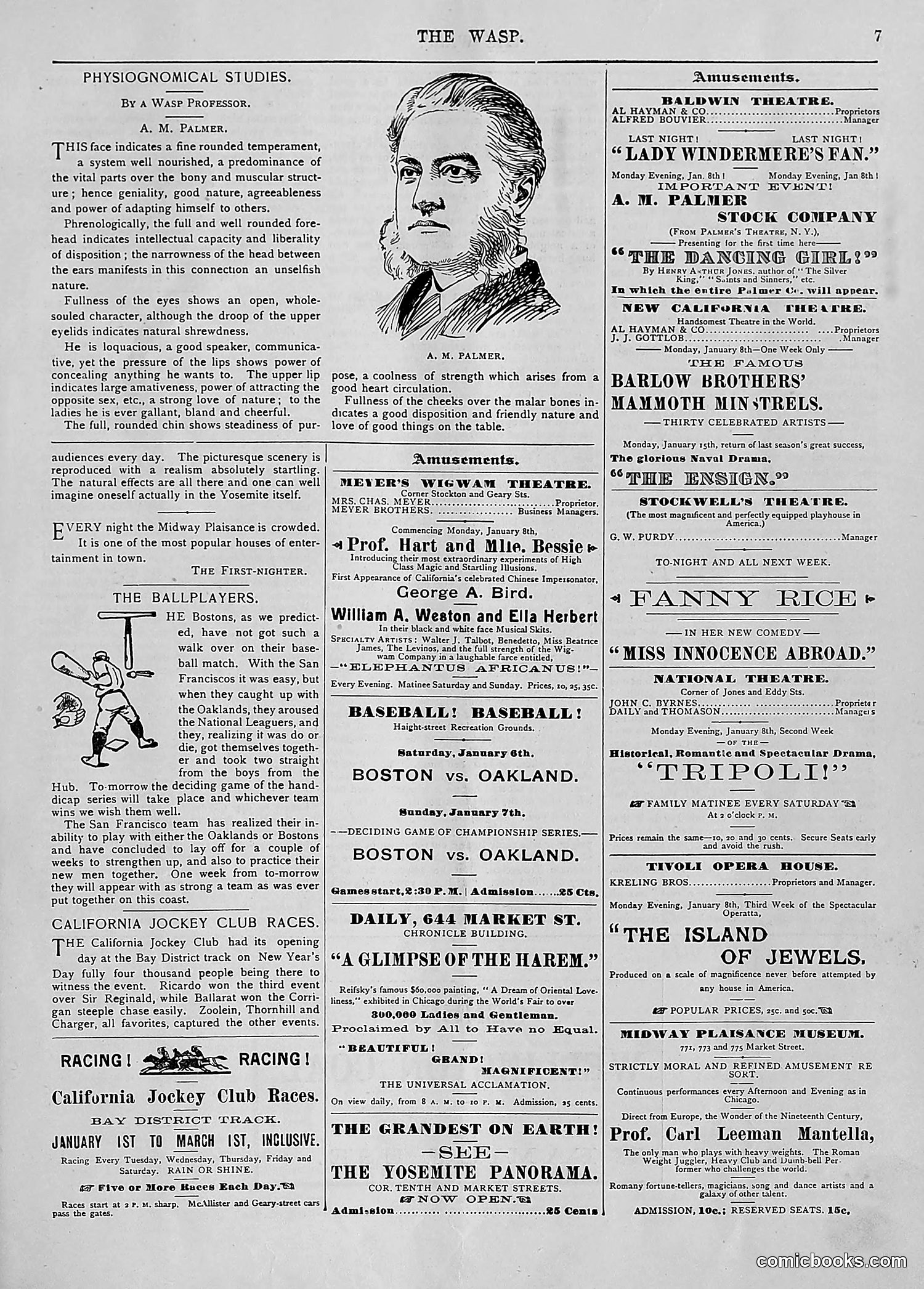 The Wasp — 1894 — page 14 of 552