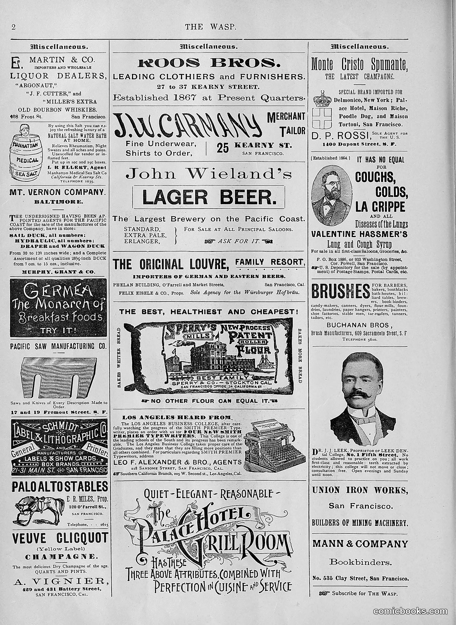 The Wasp — 1894 — page 133 of 552