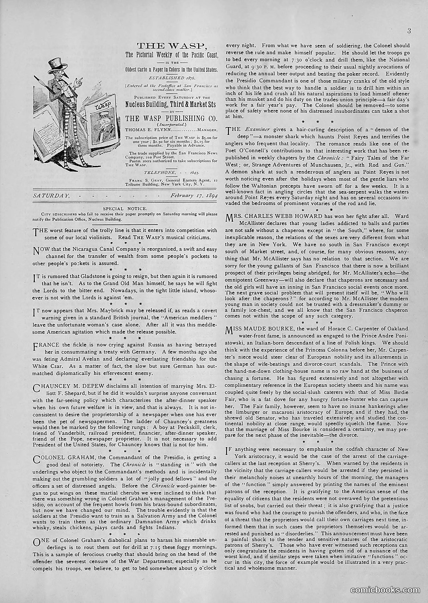 The Wasp — 1894 — page 134 of 552