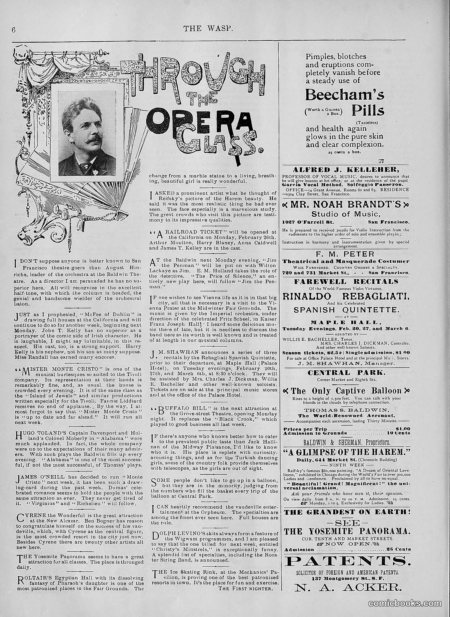 The Wasp — 1894 — page 137 of 552