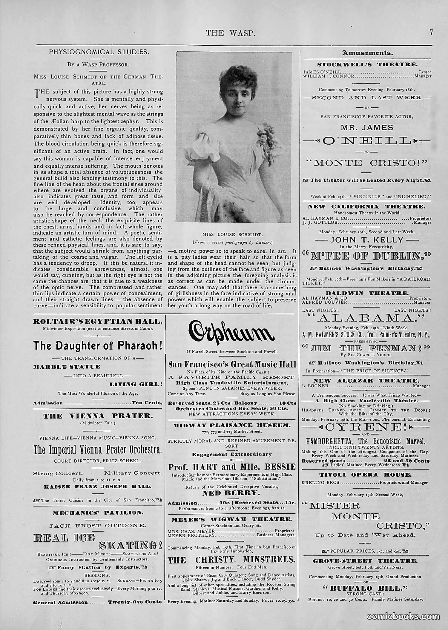 The Wasp — 1894 — page 138 of 552