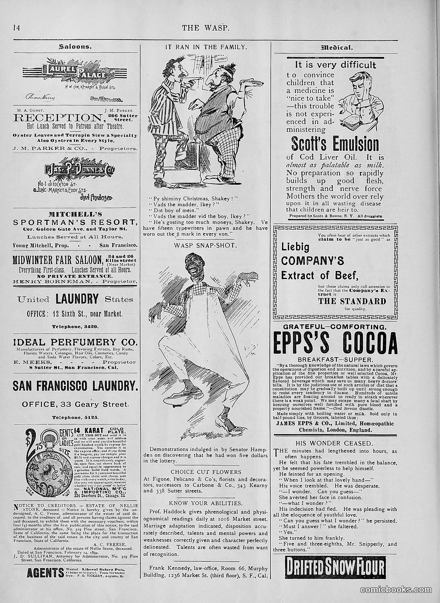 The Wasp — 1894 — page 145 of 552