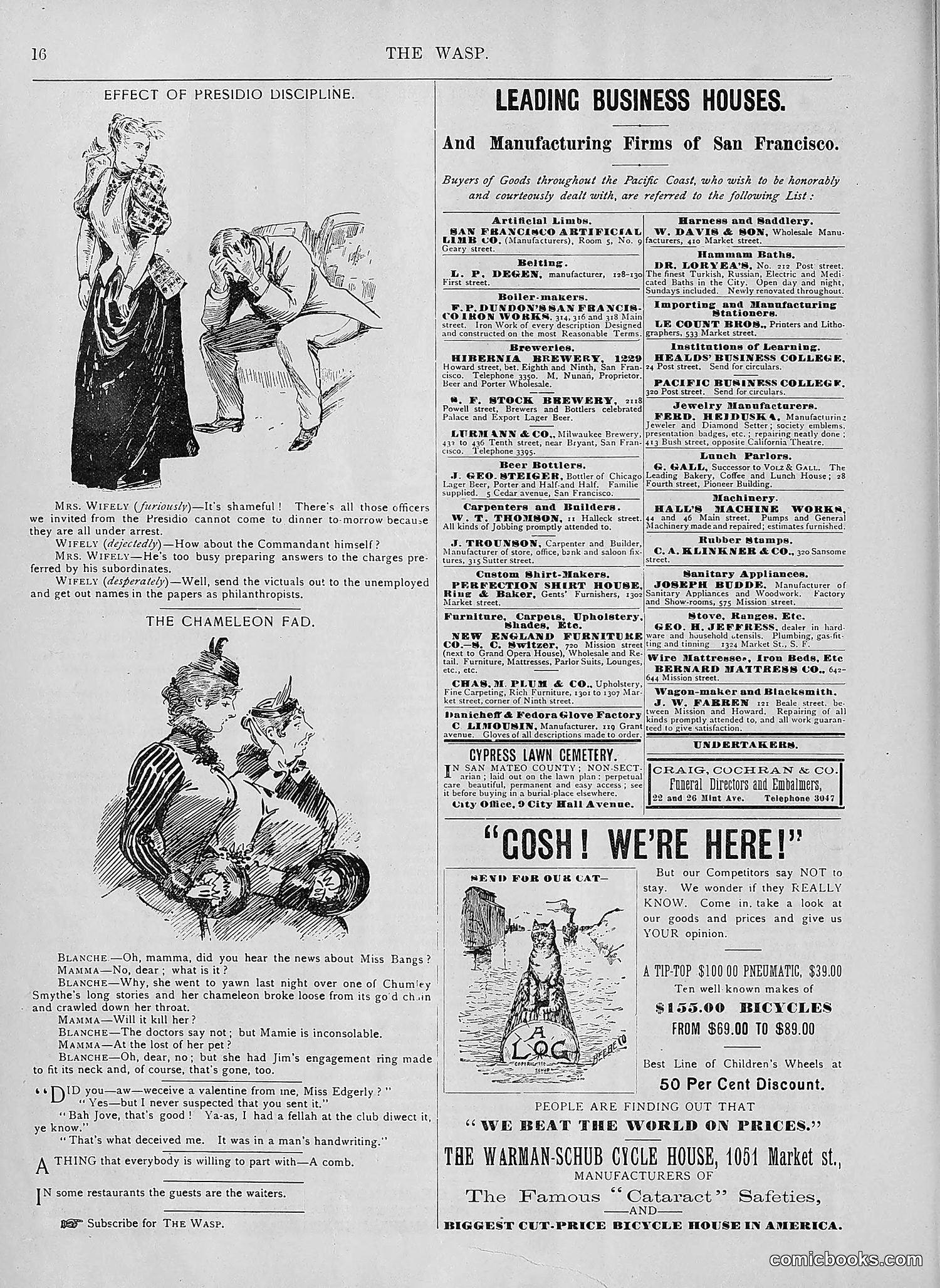 The Wasp — 1894 — page 147 of 552