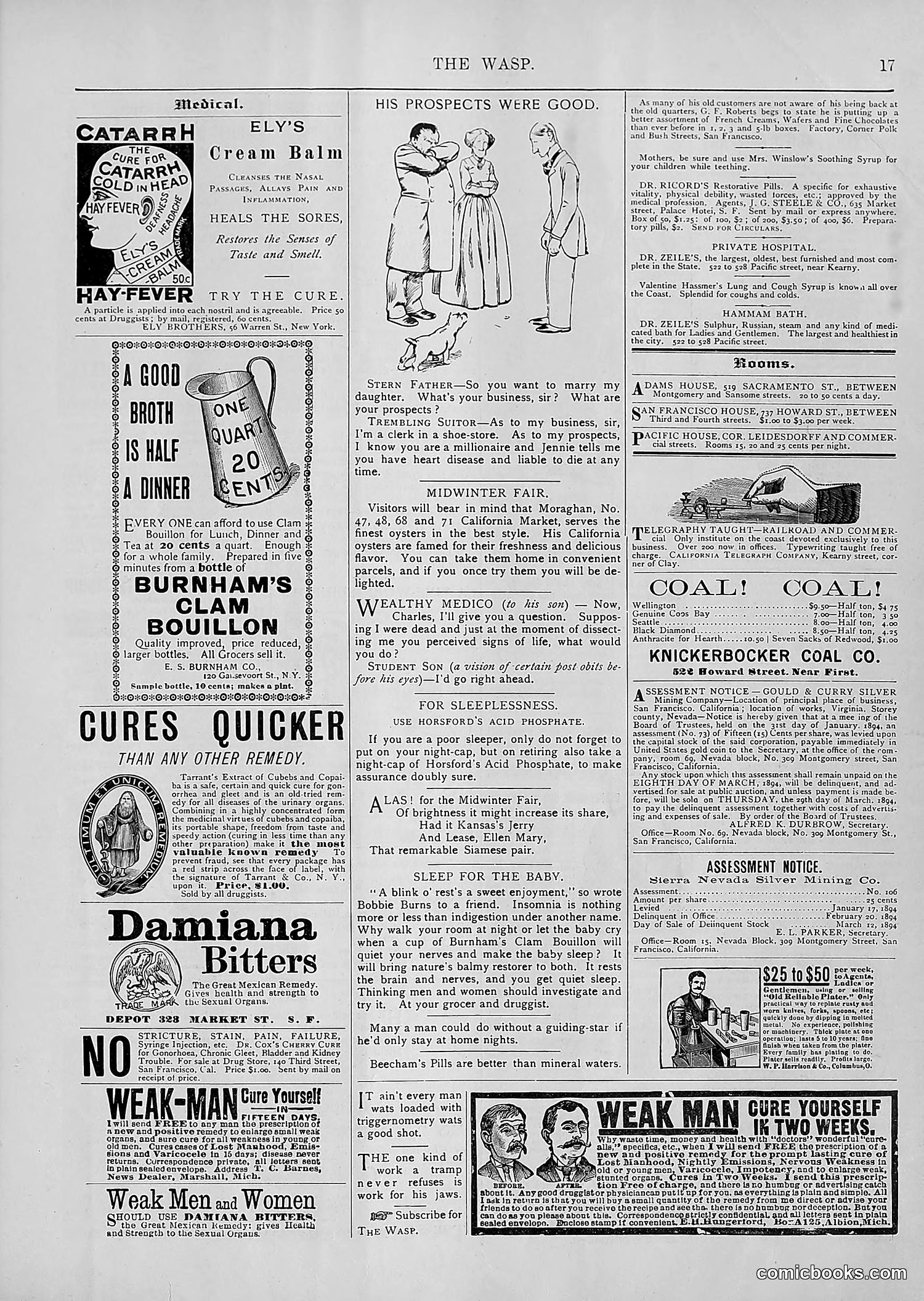 The Wasp — 1894 — page 148 of 552