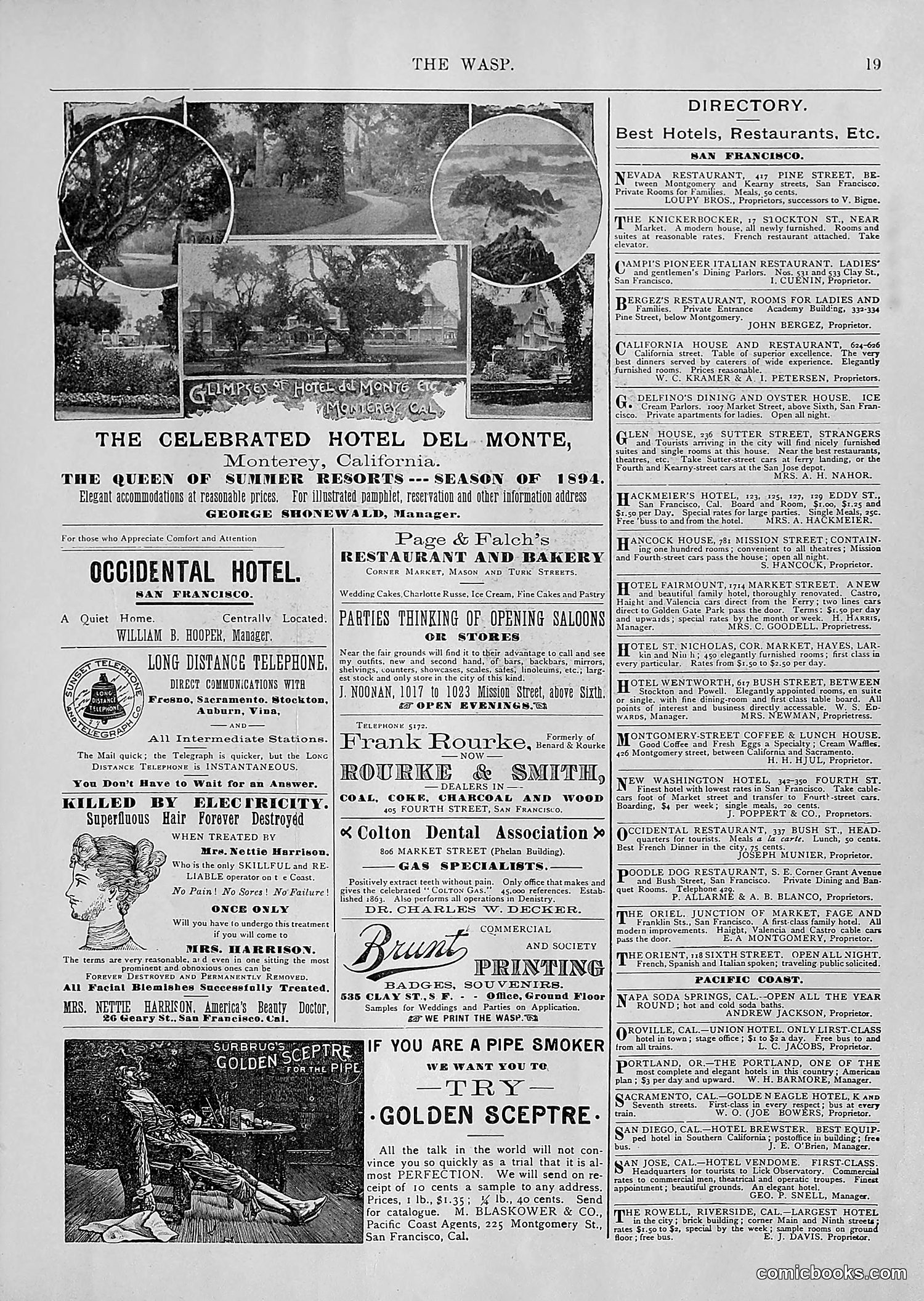 The Wasp — 1894 — page 150 of 552
