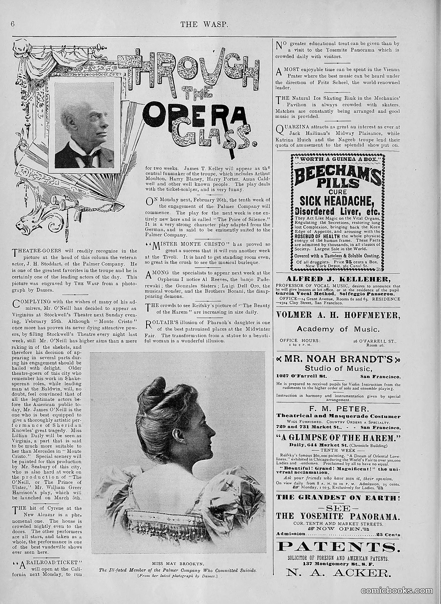 The Wasp — 1894 — page 157 of 552