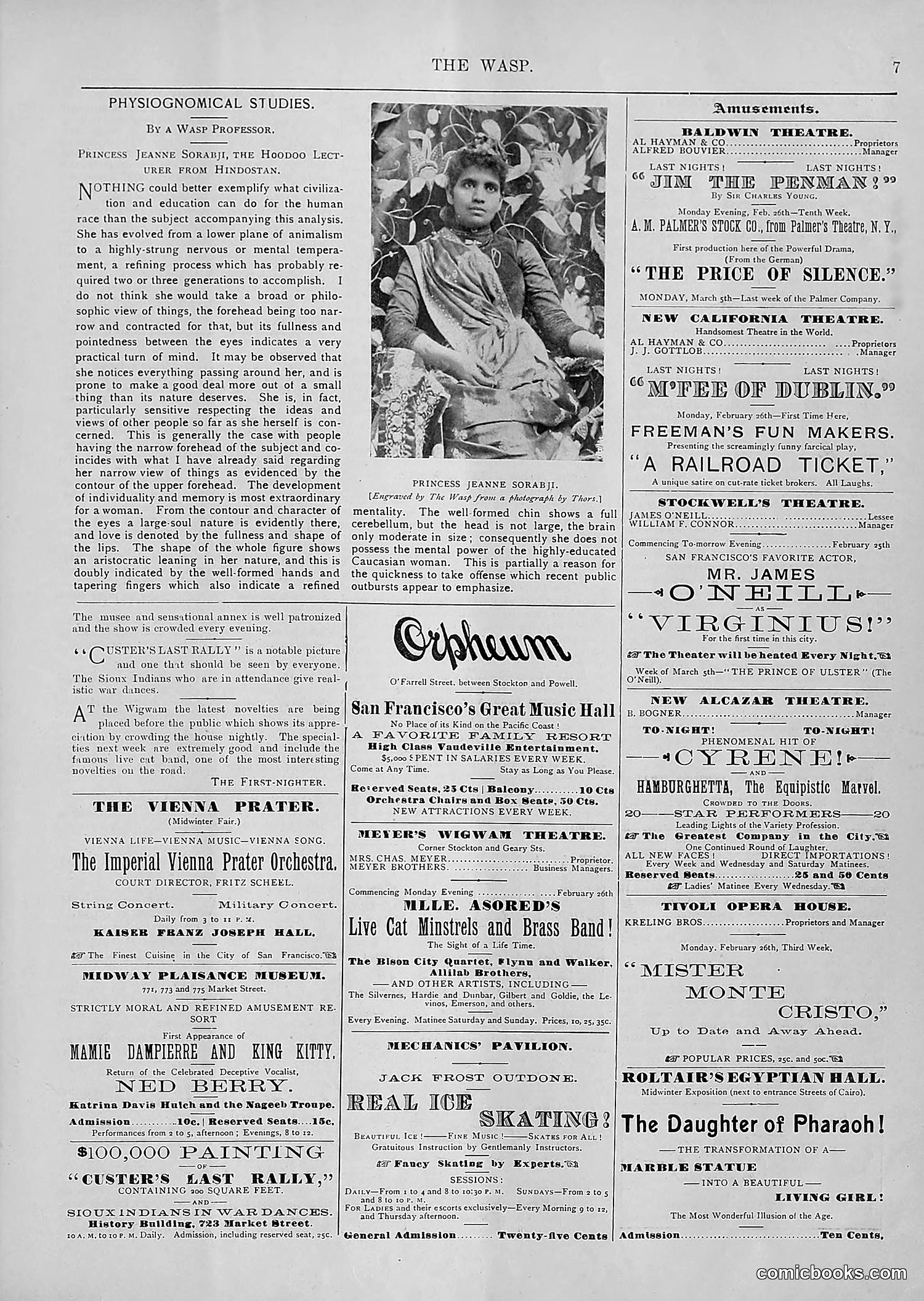 The Wasp — 1894 — page 158 of 552