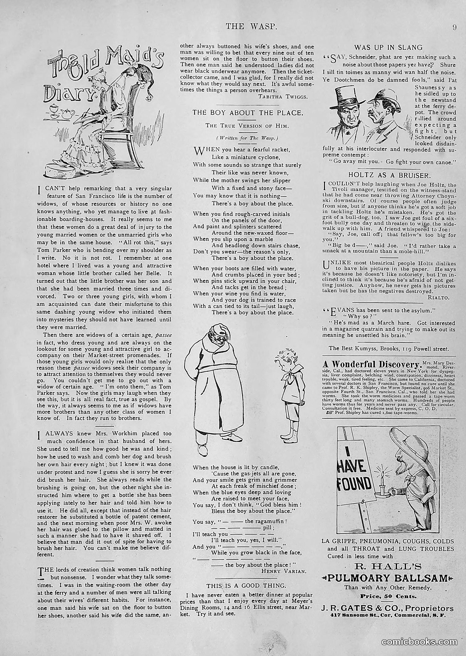The Wasp — 1894 — page 160 of 552