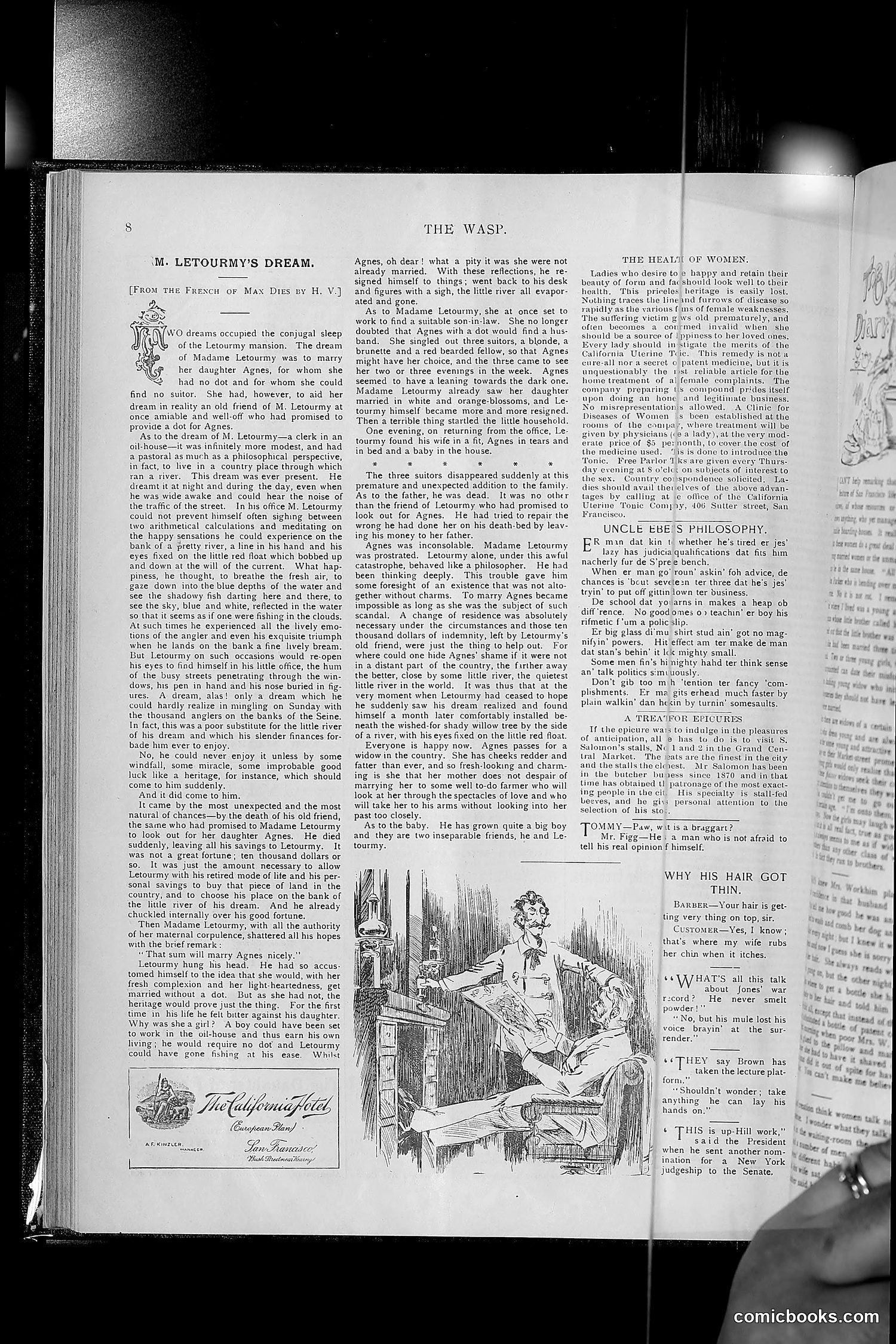 The Wasp — 1894 — page 161 of 552
