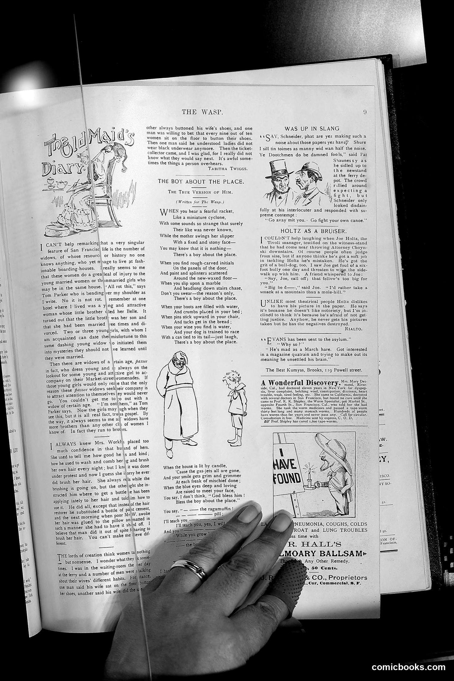 The Wasp — 1894 — page 162 of 552