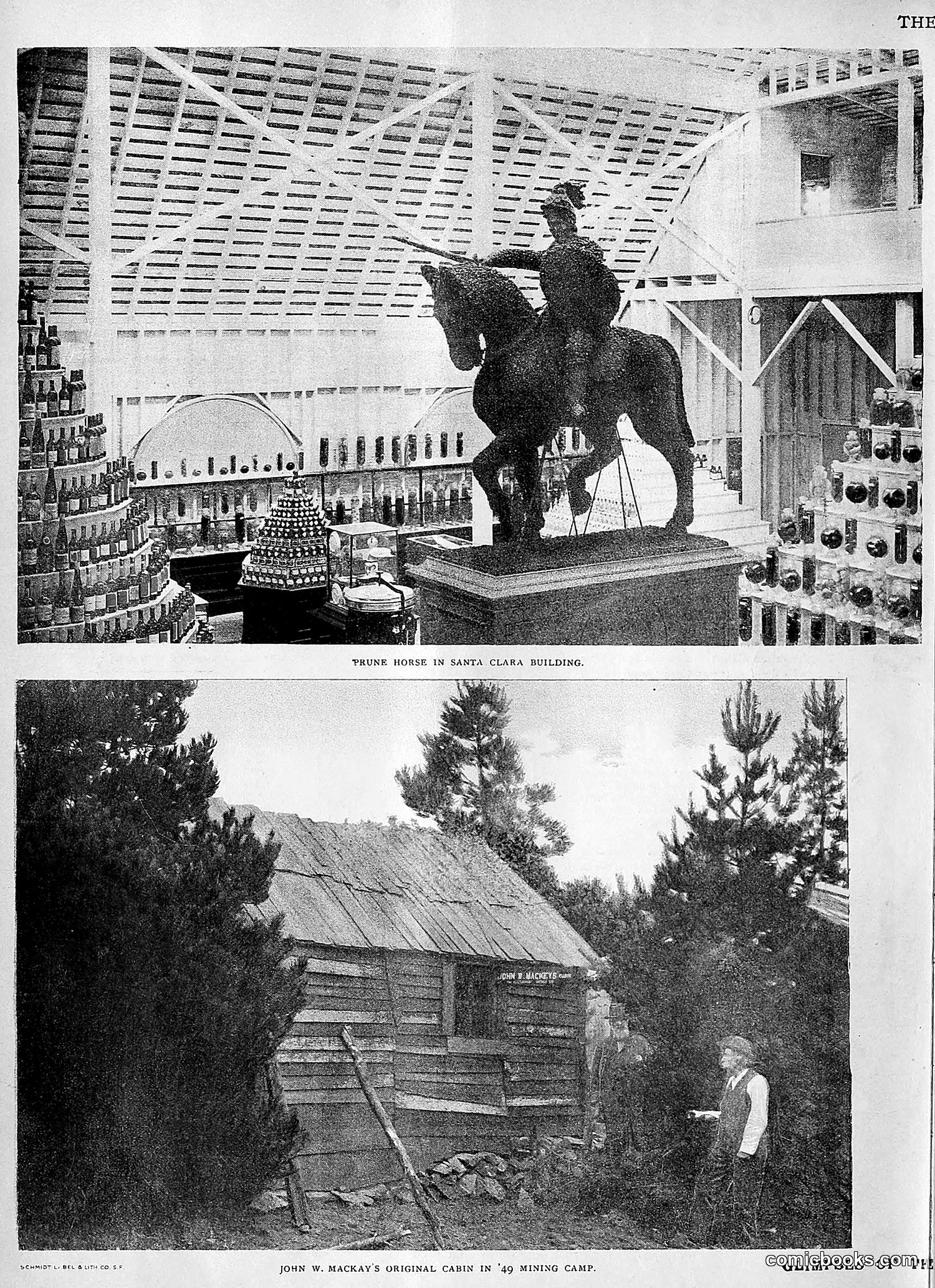 The Wasp — 1894 — page 163 of 552