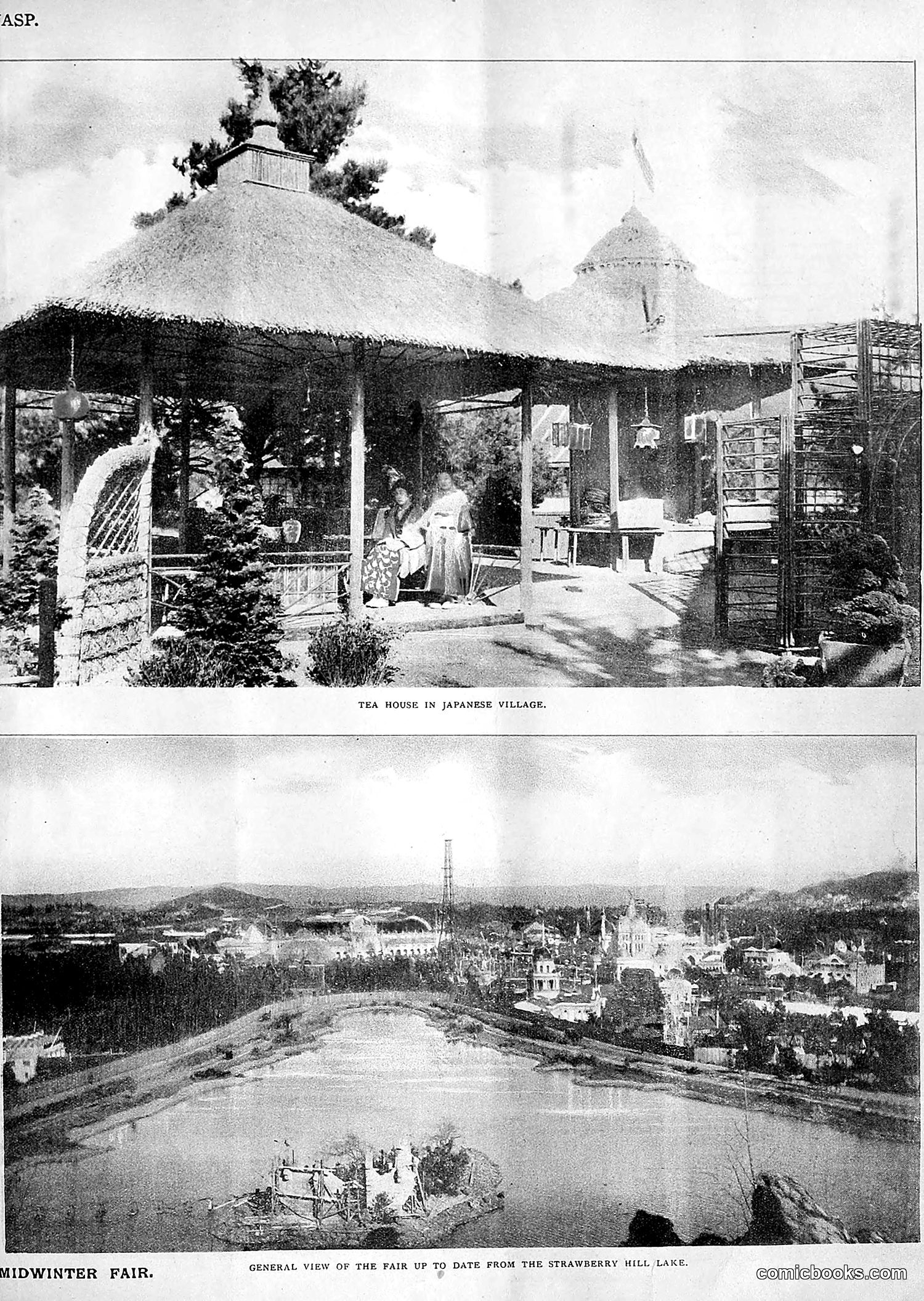 The Wasp — 1894 — page 164 of 552