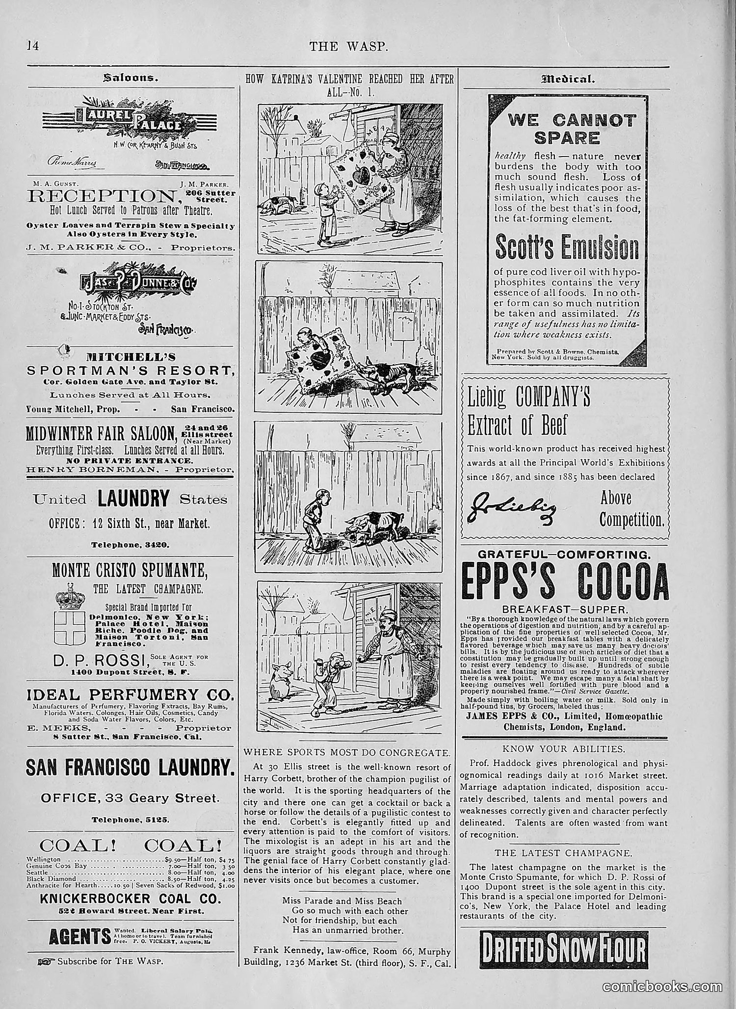 The Wasp — 1894 — page 167 of 552