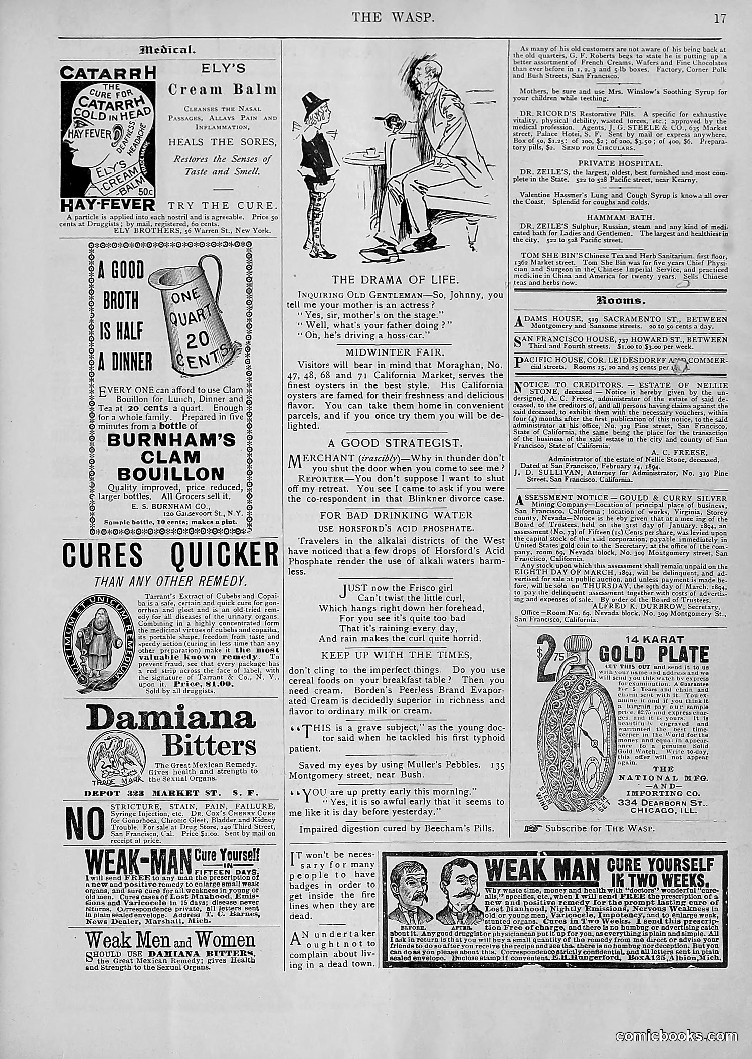 The Wasp — 1894 — page 170 of 552