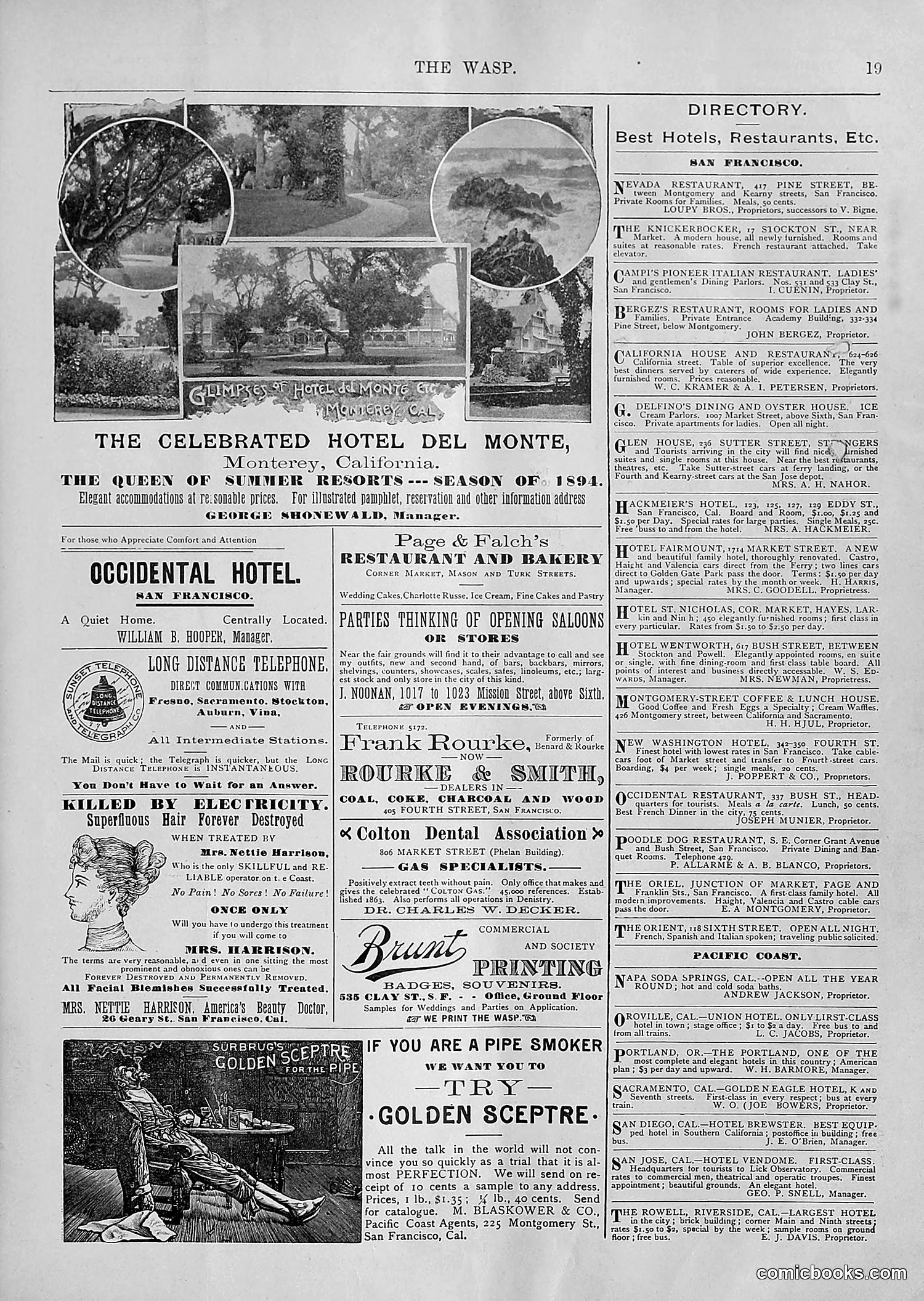 The Wasp — 1894 — page 172 of 552