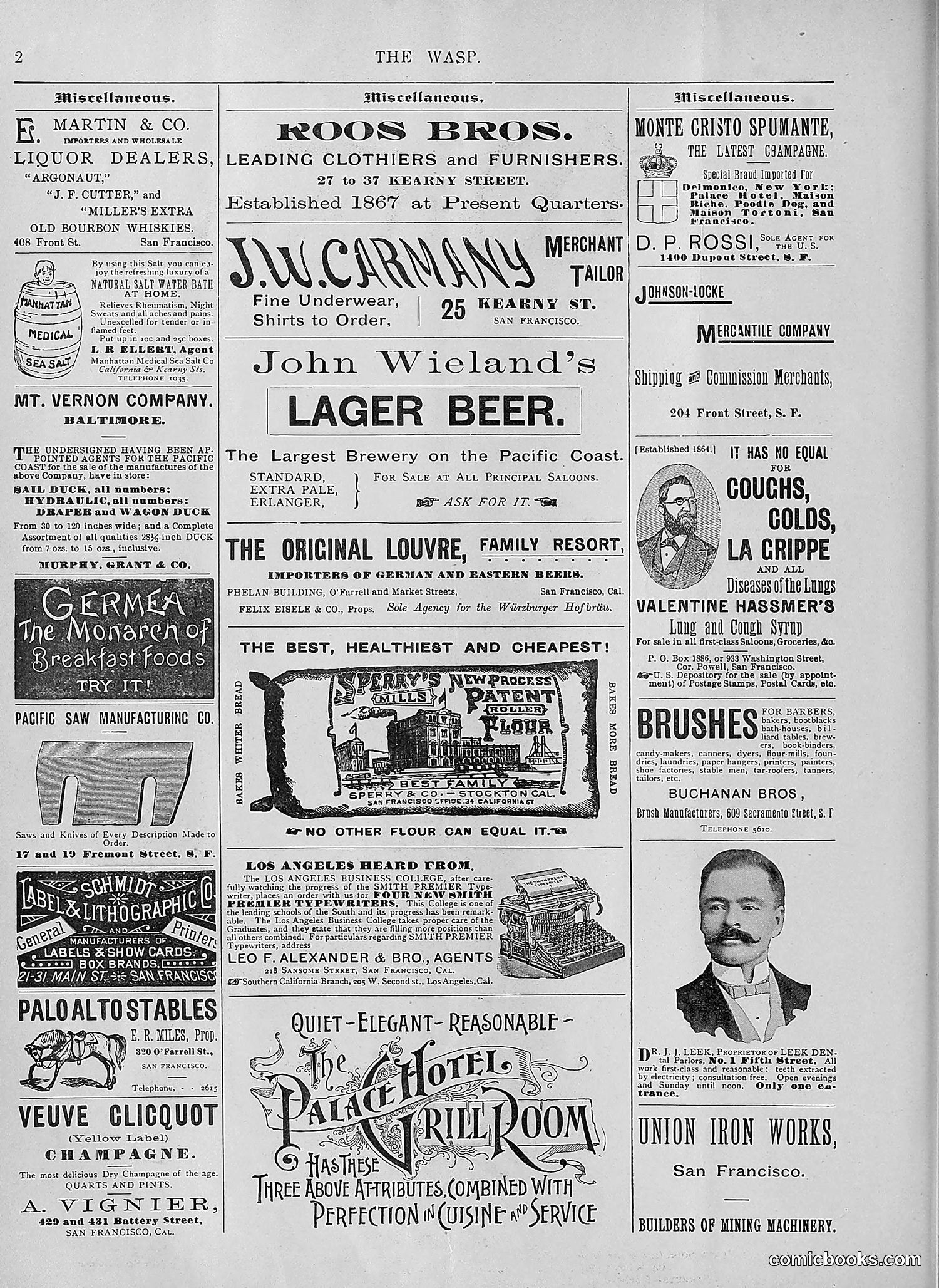 The Wasp — 1894 — page 175 of 552