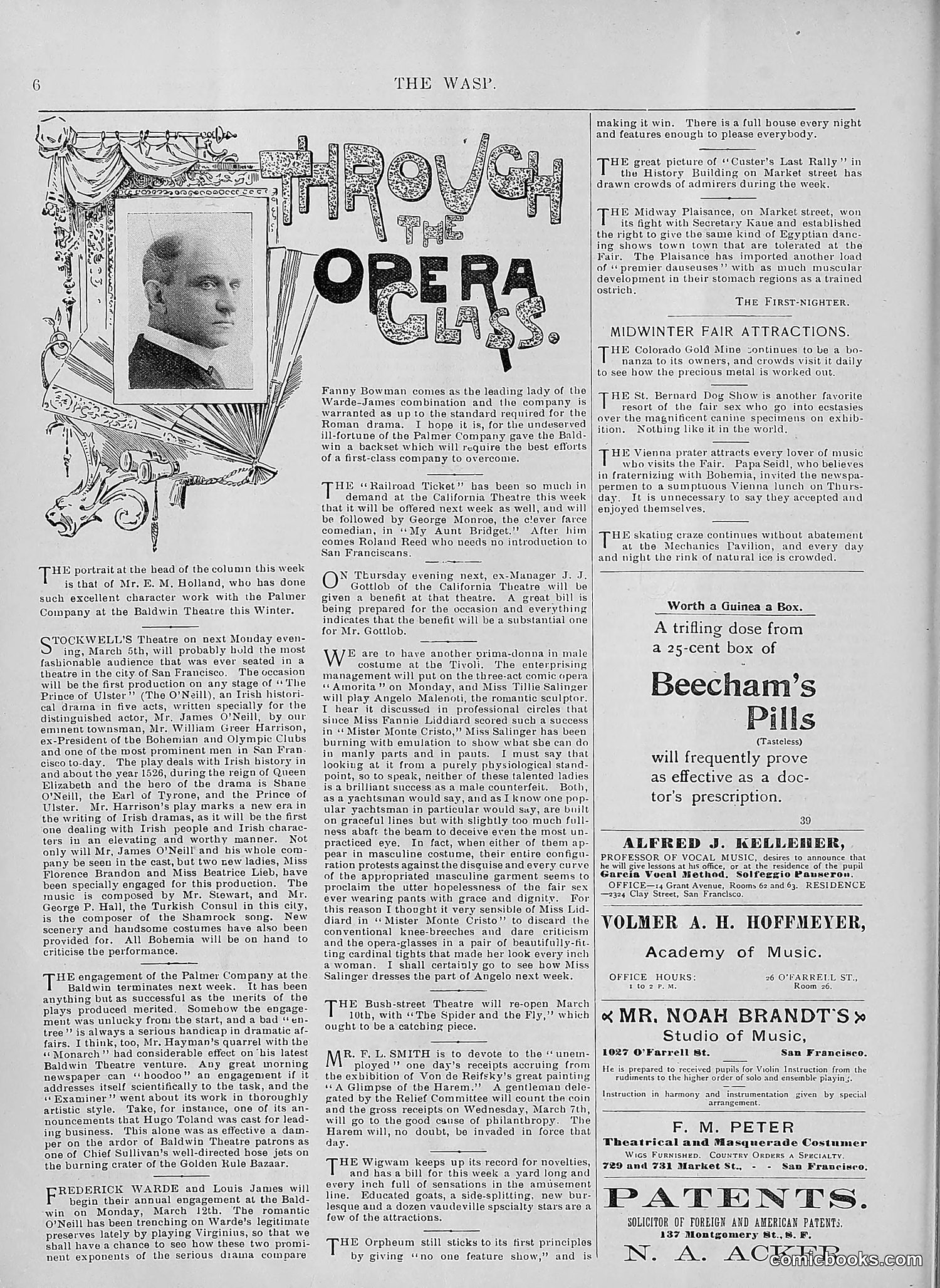 The Wasp — 1894 — page 179 of 552