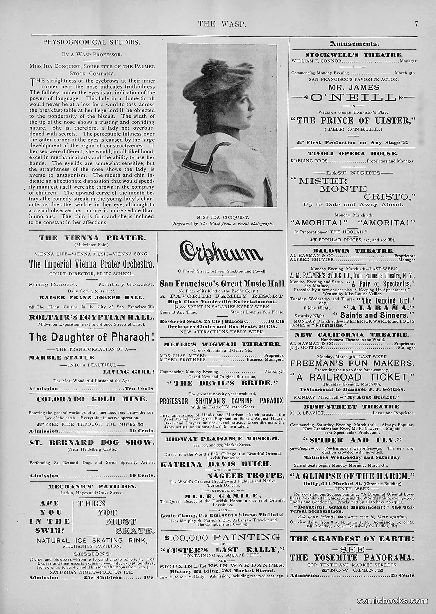 The Wasp — 1894 — page 180 of 552