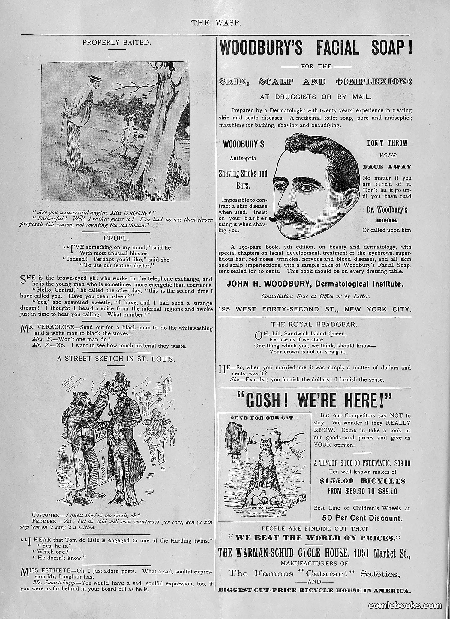 The Wasp — 1894 — page 19 of 552