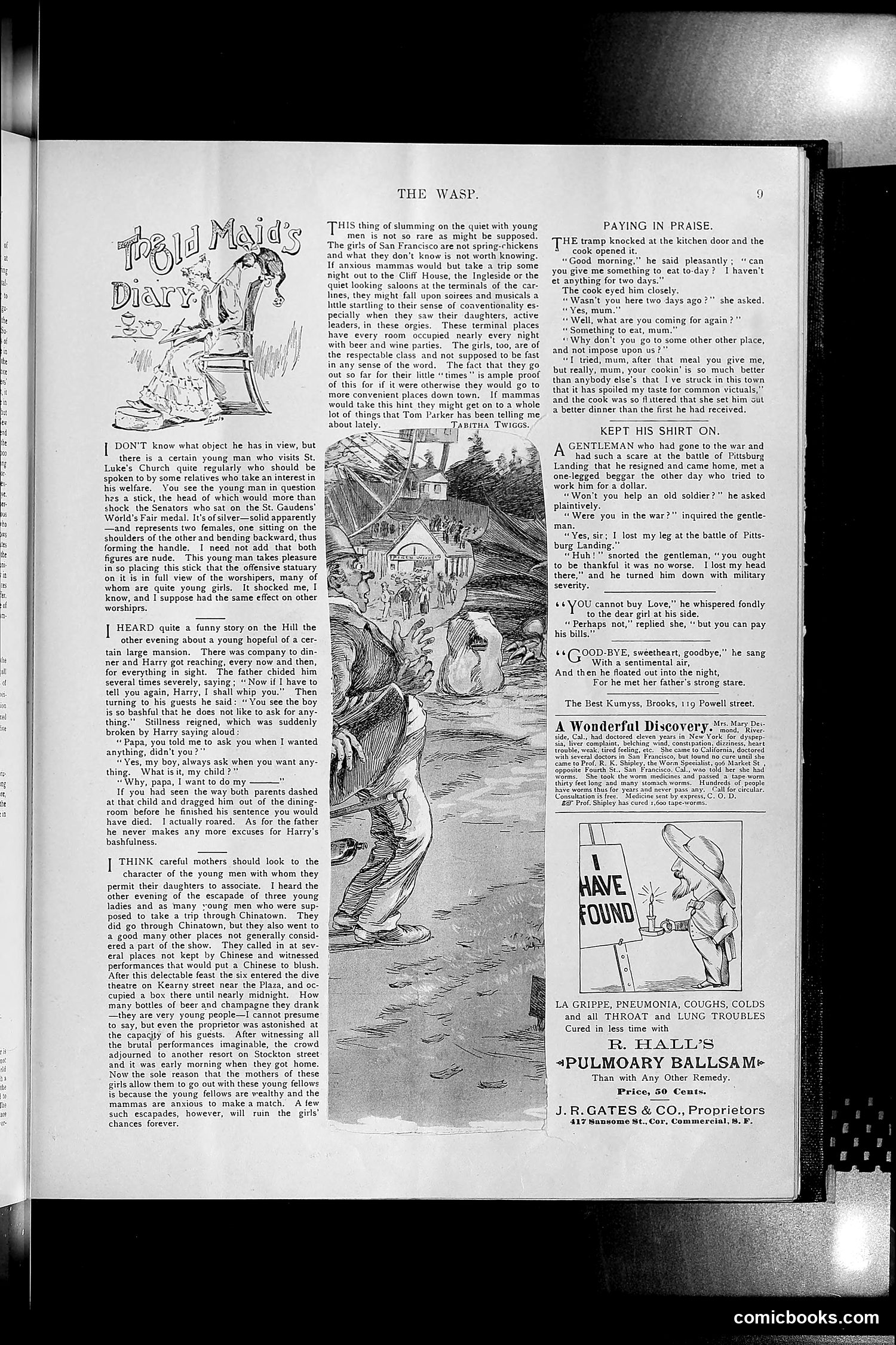 The Wasp — 1894 — page 182 of 552