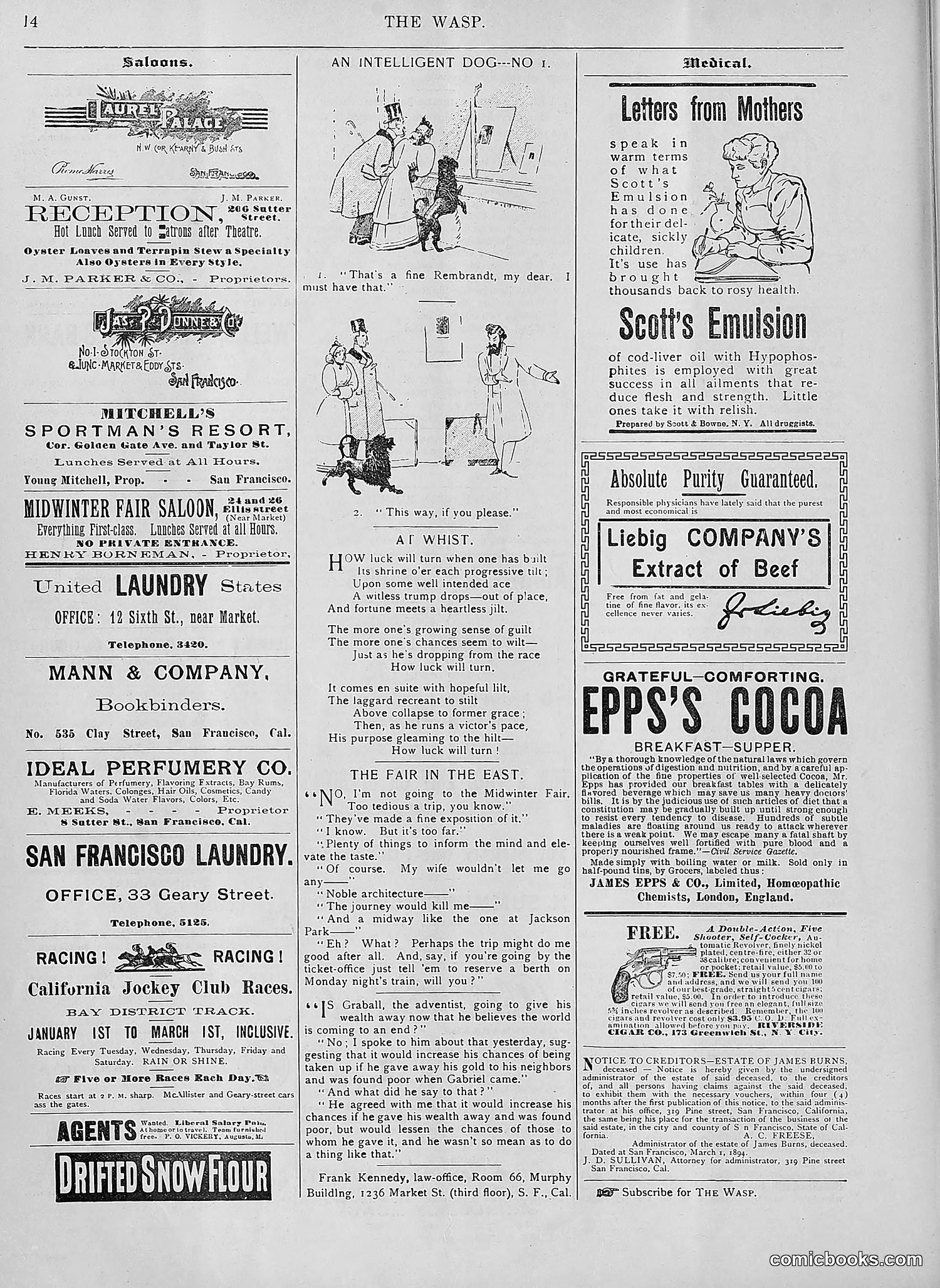 The Wasp — 1894 — page 189 of 552
