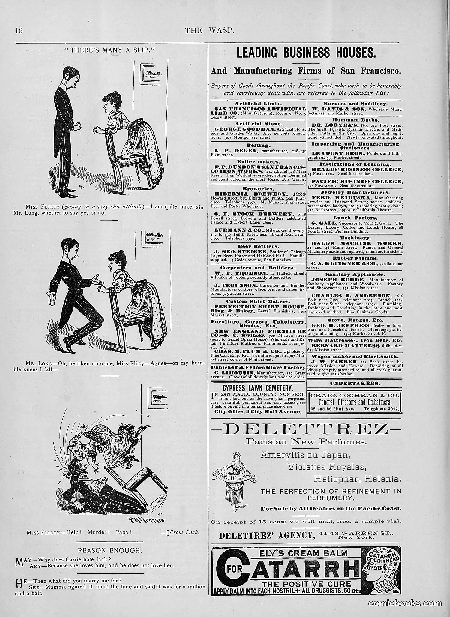 The Wasp — 1894 — page 191 of 552