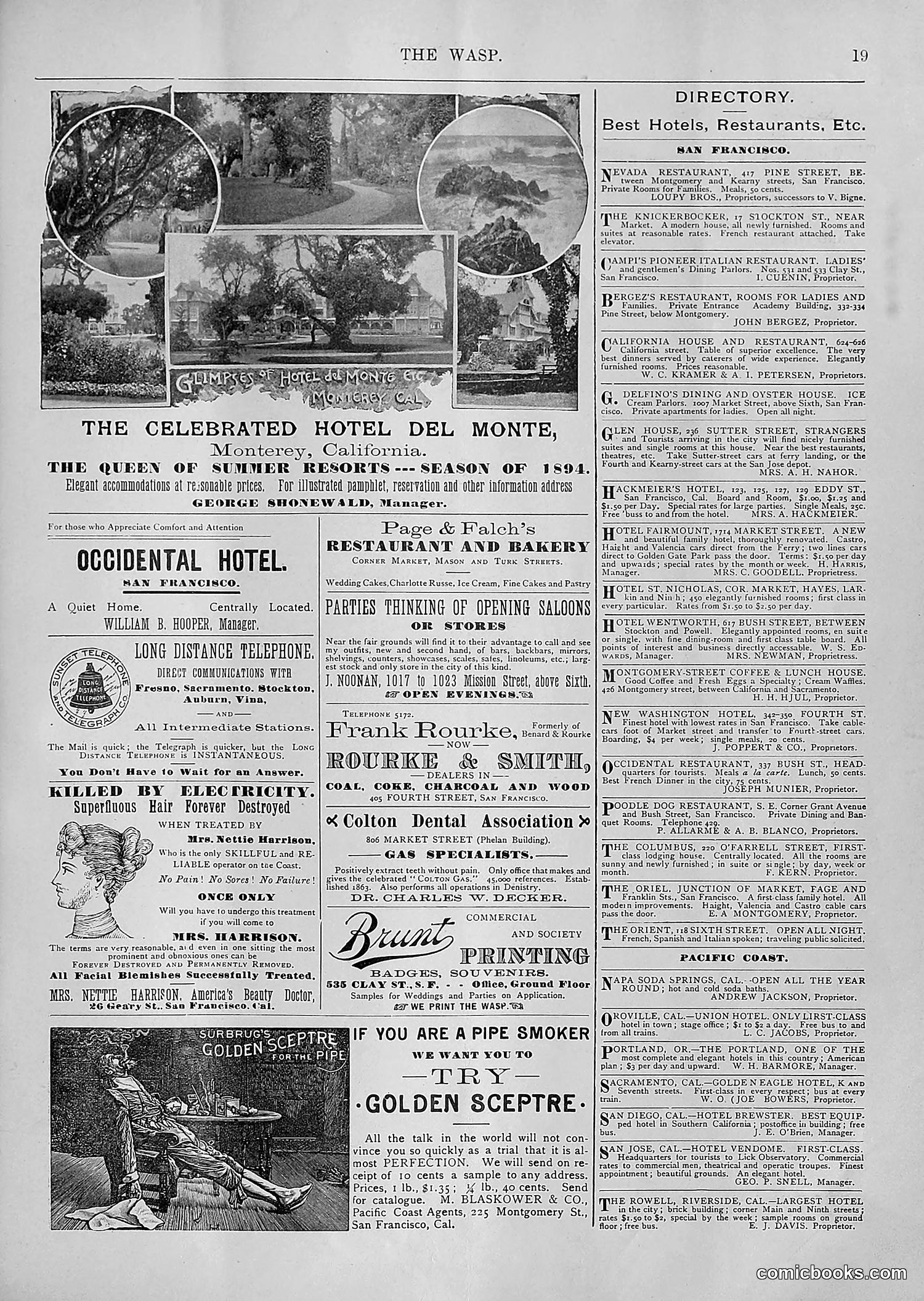 The Wasp — 1894 — page 194 of 552