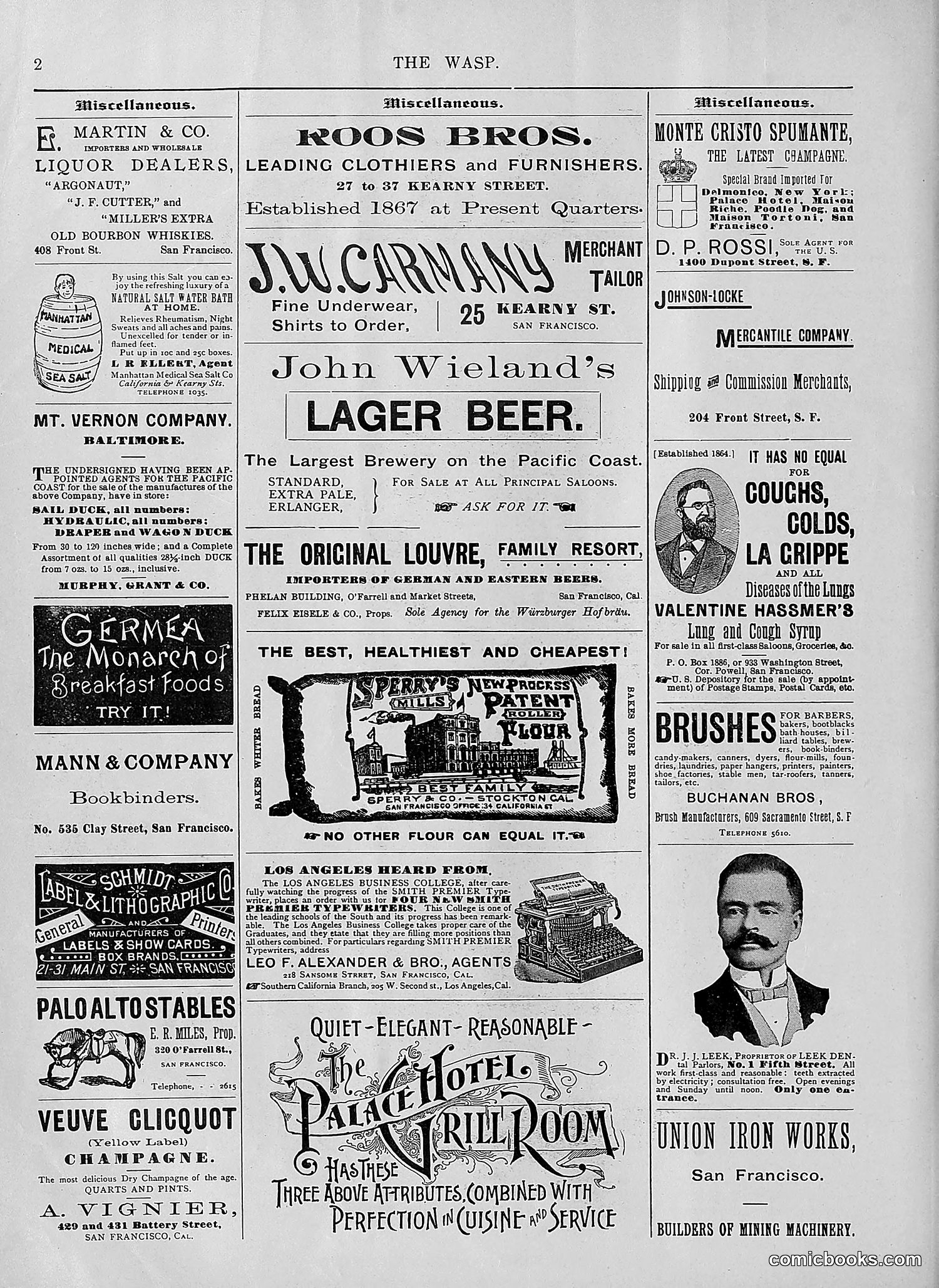 The Wasp — 1894 — page 197 of 552