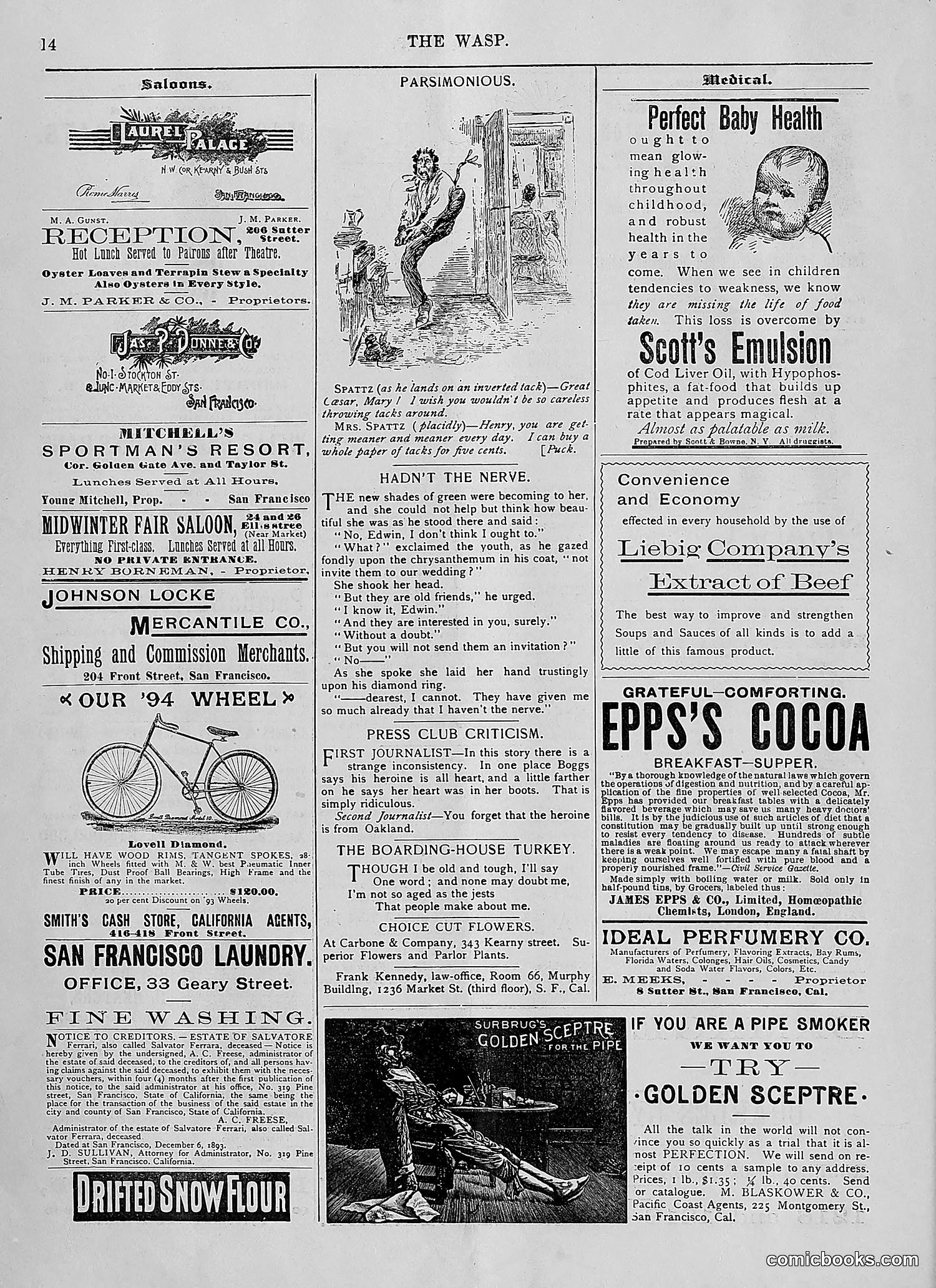 The Wasp — 1894 — page 21 of 552