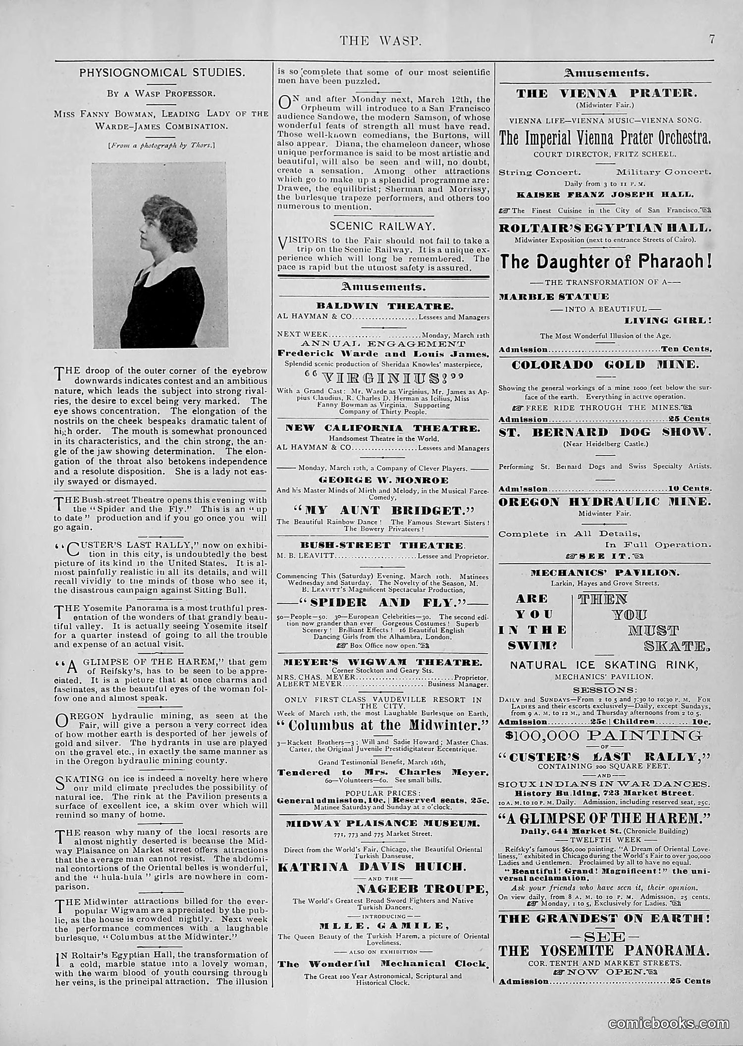 The Wasp — 1894 — page 202 of 552