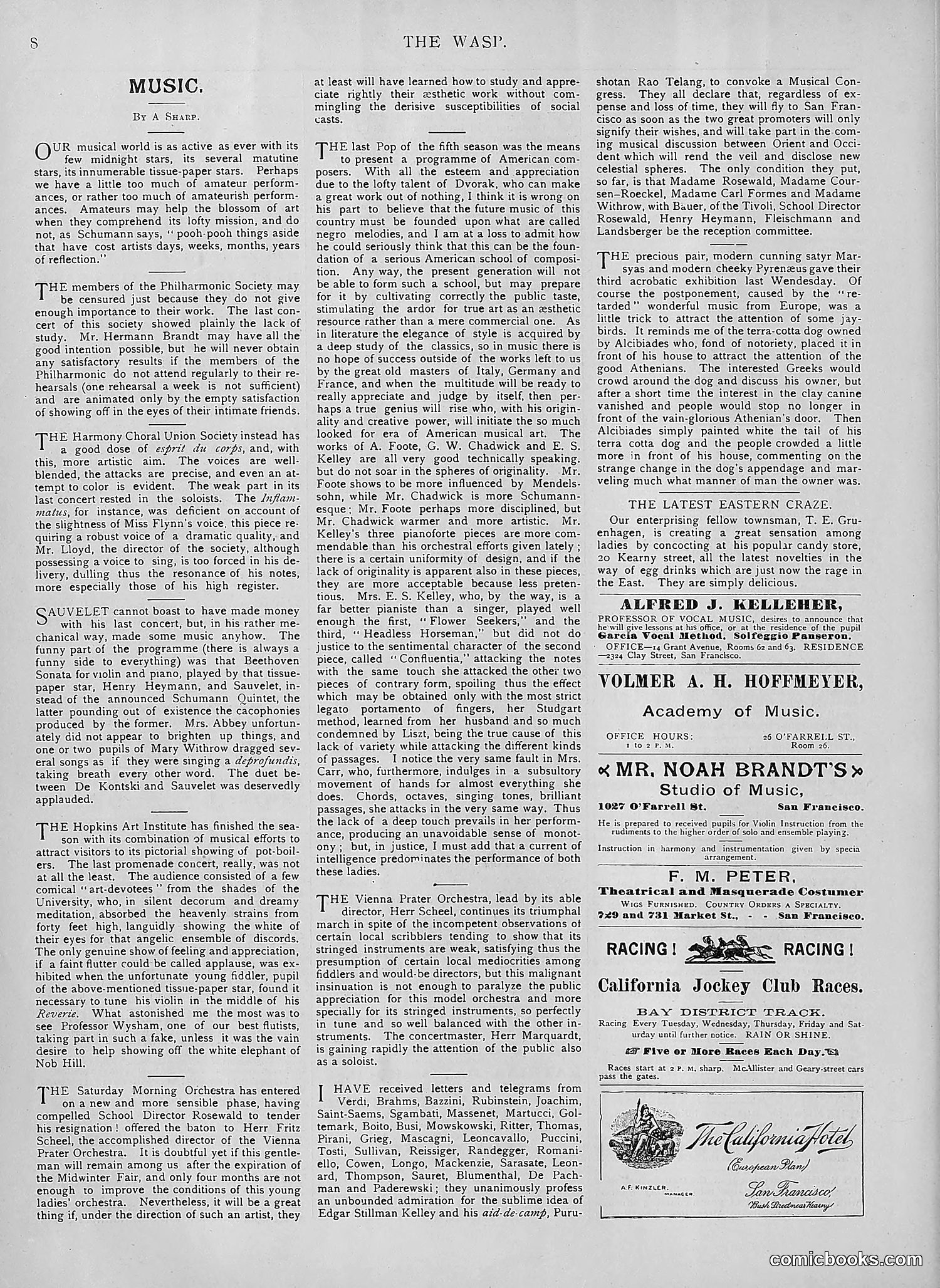 The Wasp — 1894 — page 203 of 552