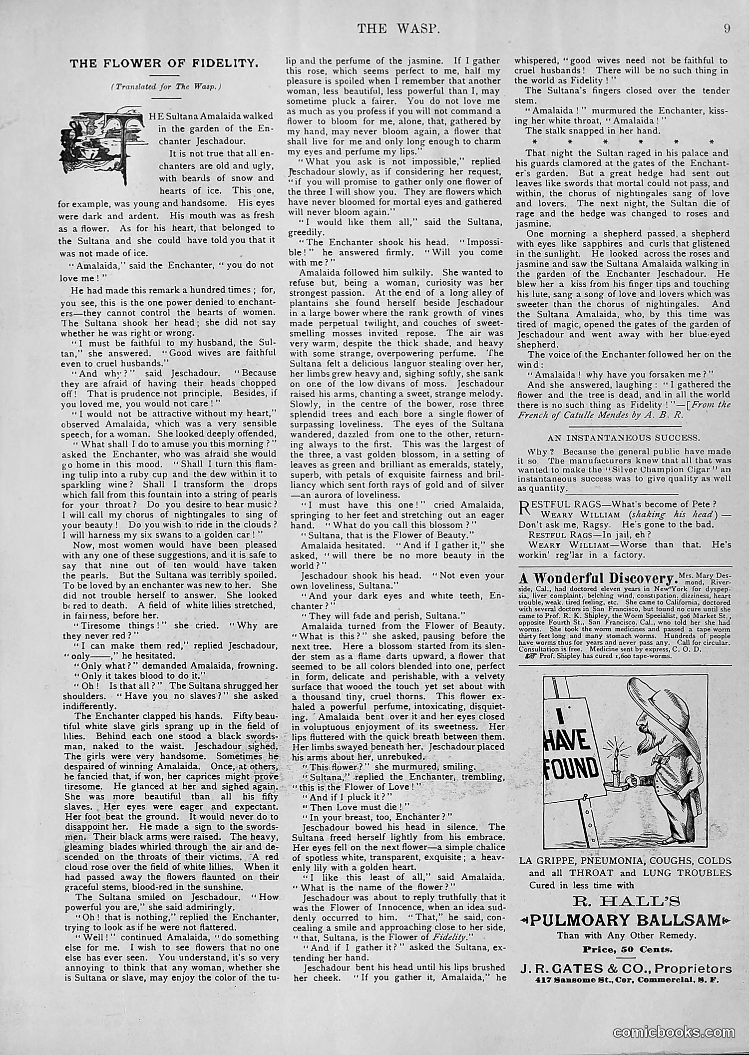The Wasp — 1894 — page 204 of 552