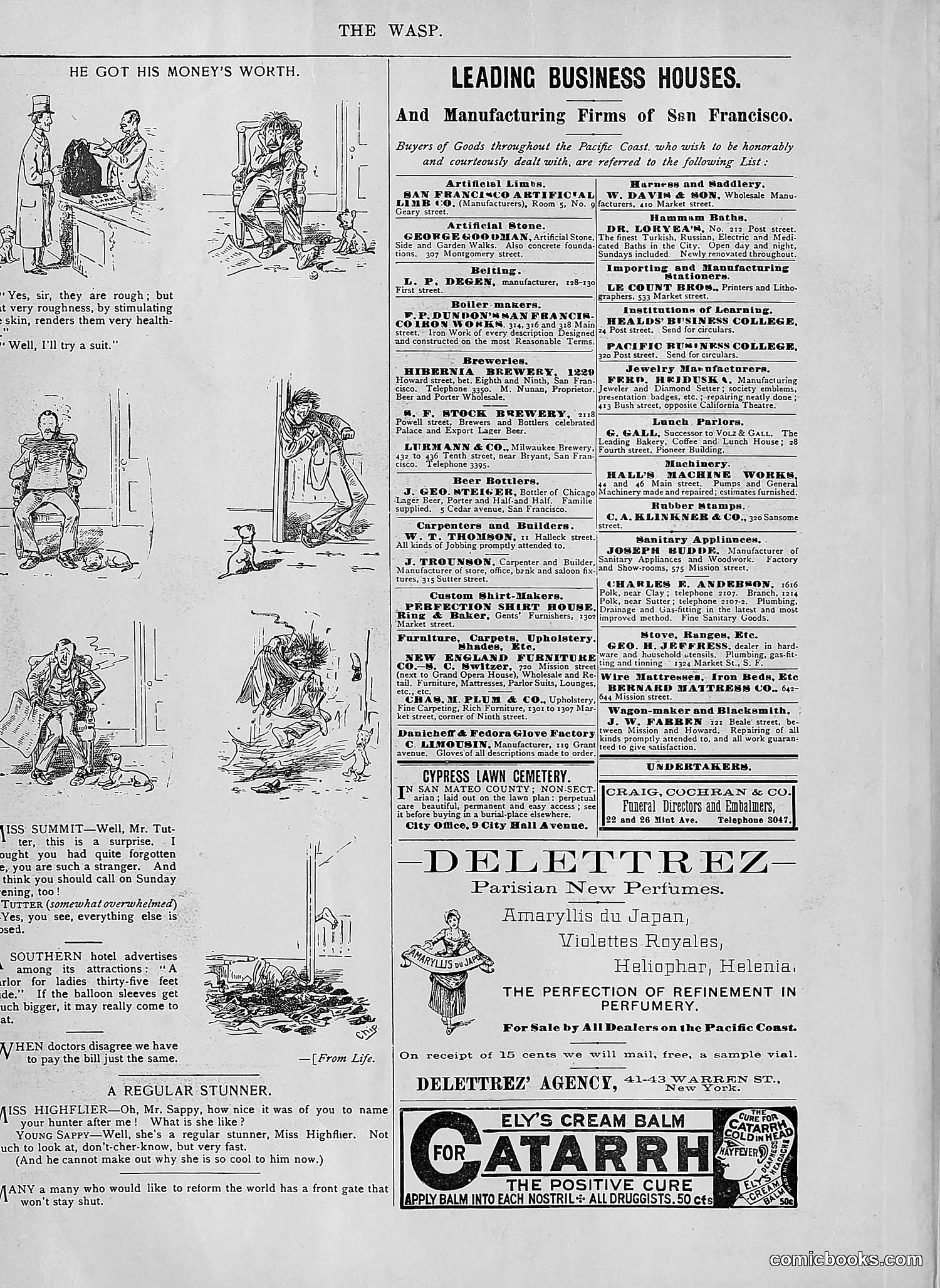 The Wasp — 1894 — page 207 of 552