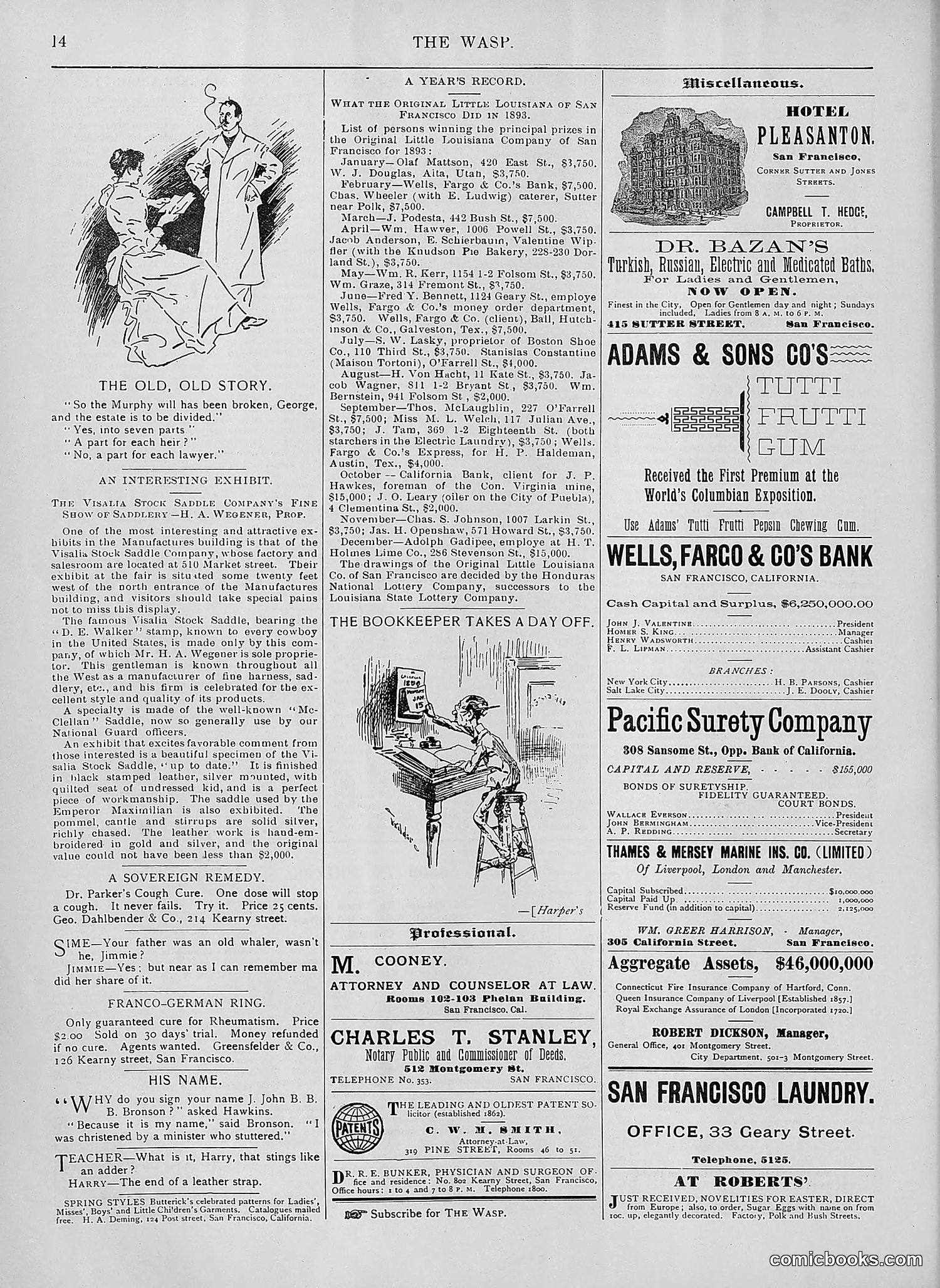 The Wasp — 1894 — page 209 of 552