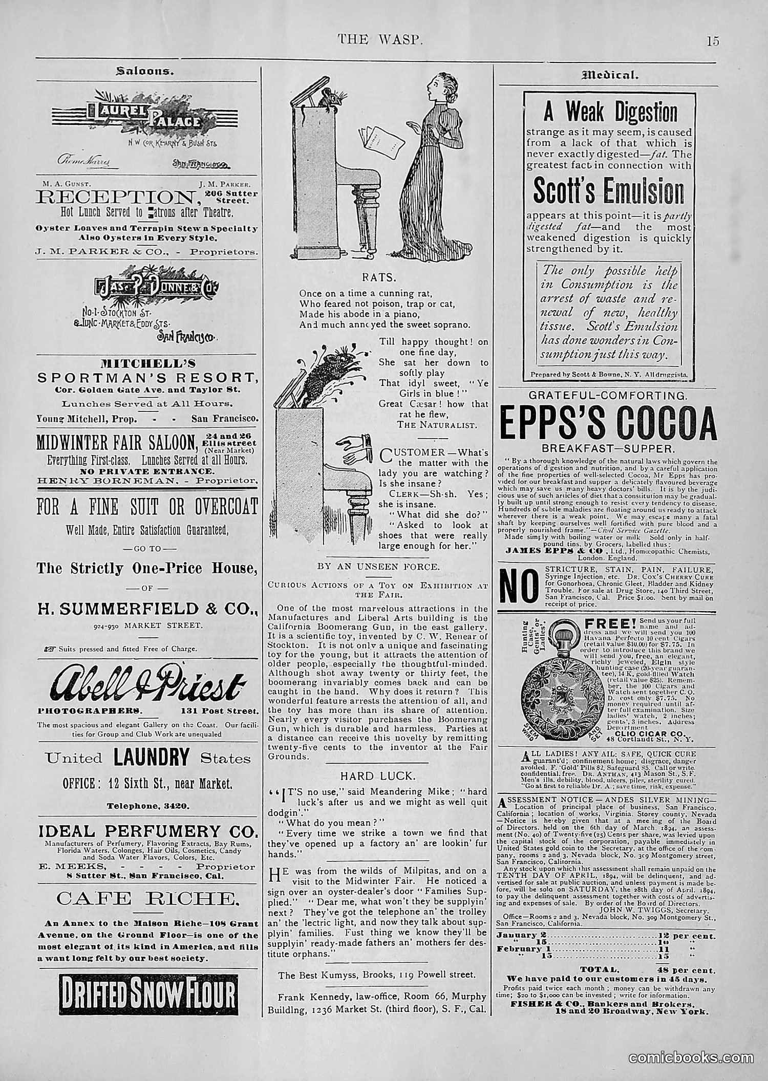 The Wasp — 1894 — page 210 of 552