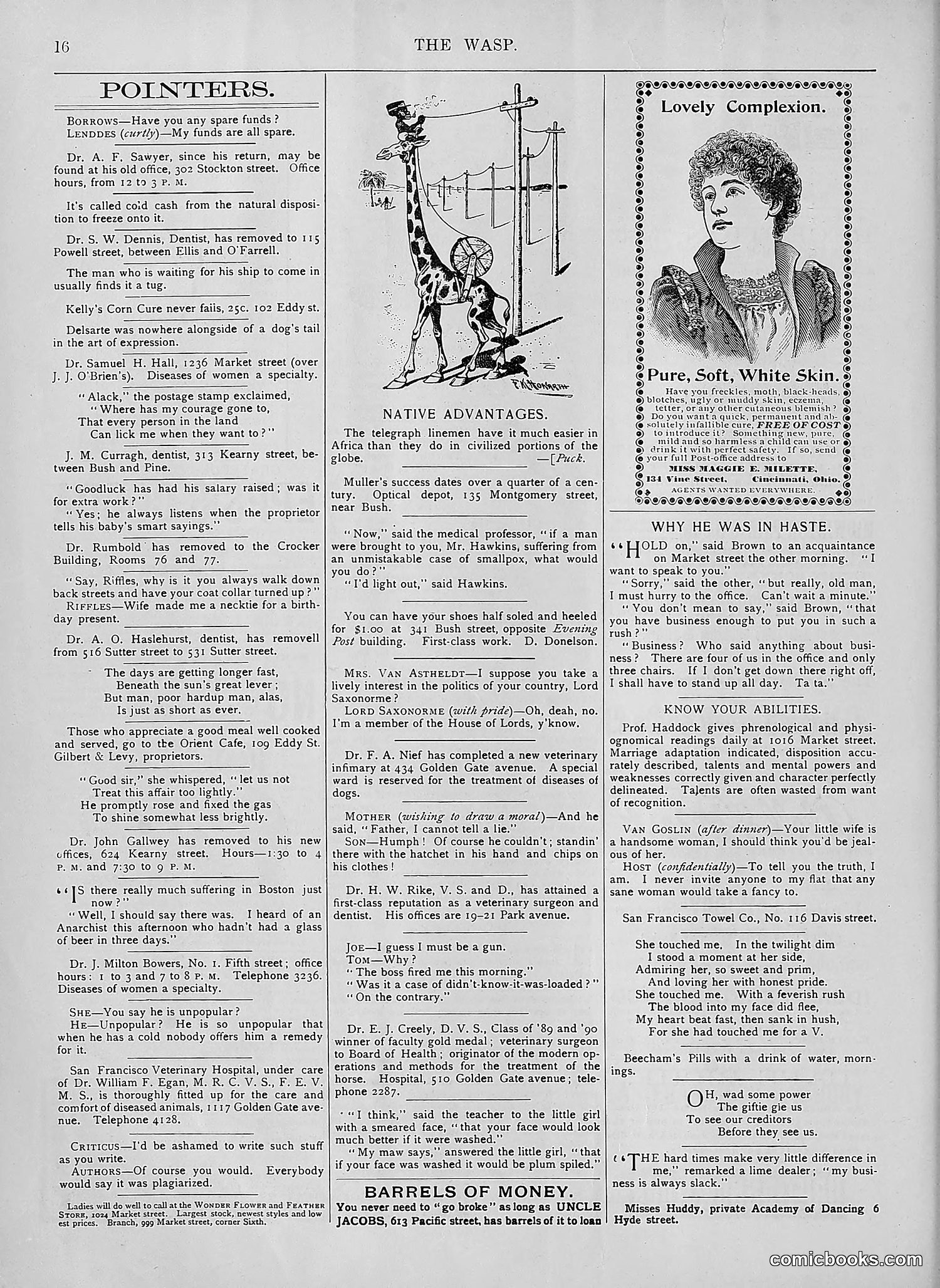 The Wasp — 1894 — page 211 of 552