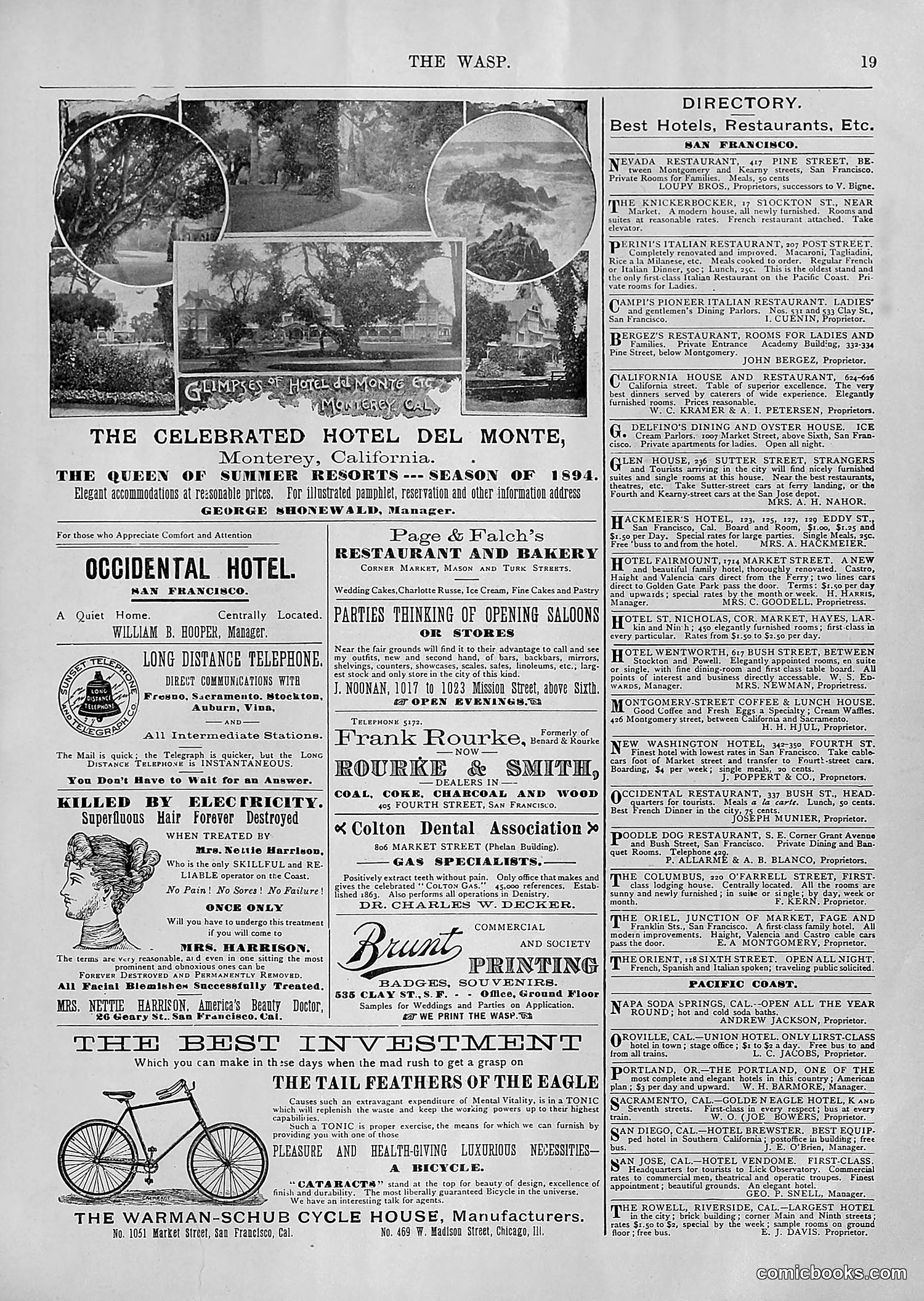 The Wasp — 1894 — page 214 of 552