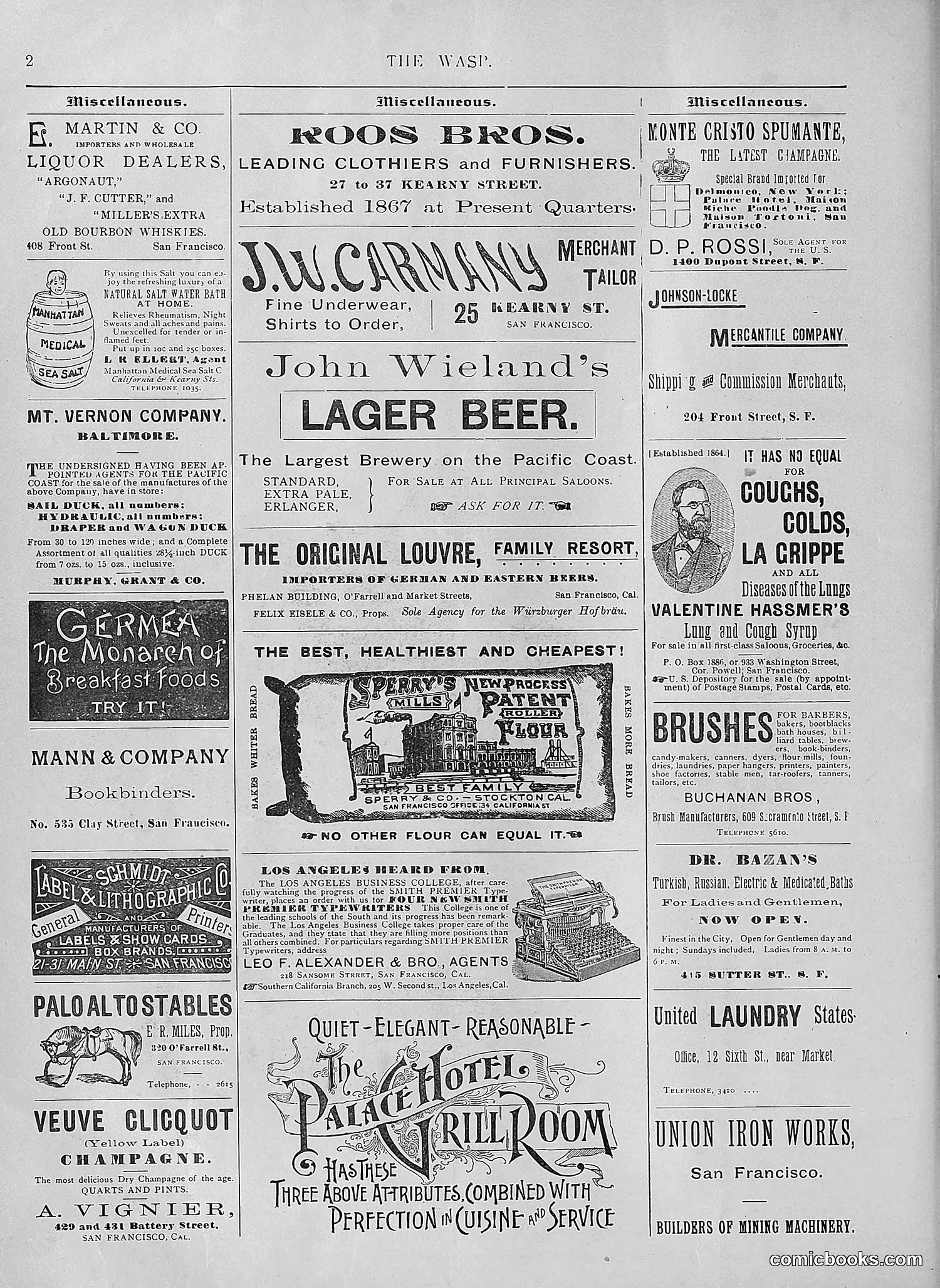 The Wasp — 1894 — page 217 of 552