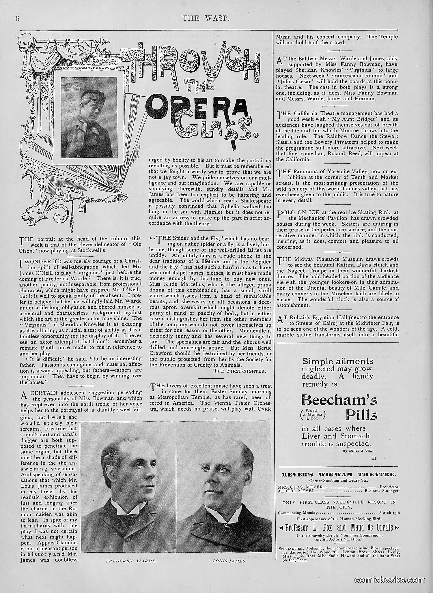 The Wasp — 1894 — page 221 of 552