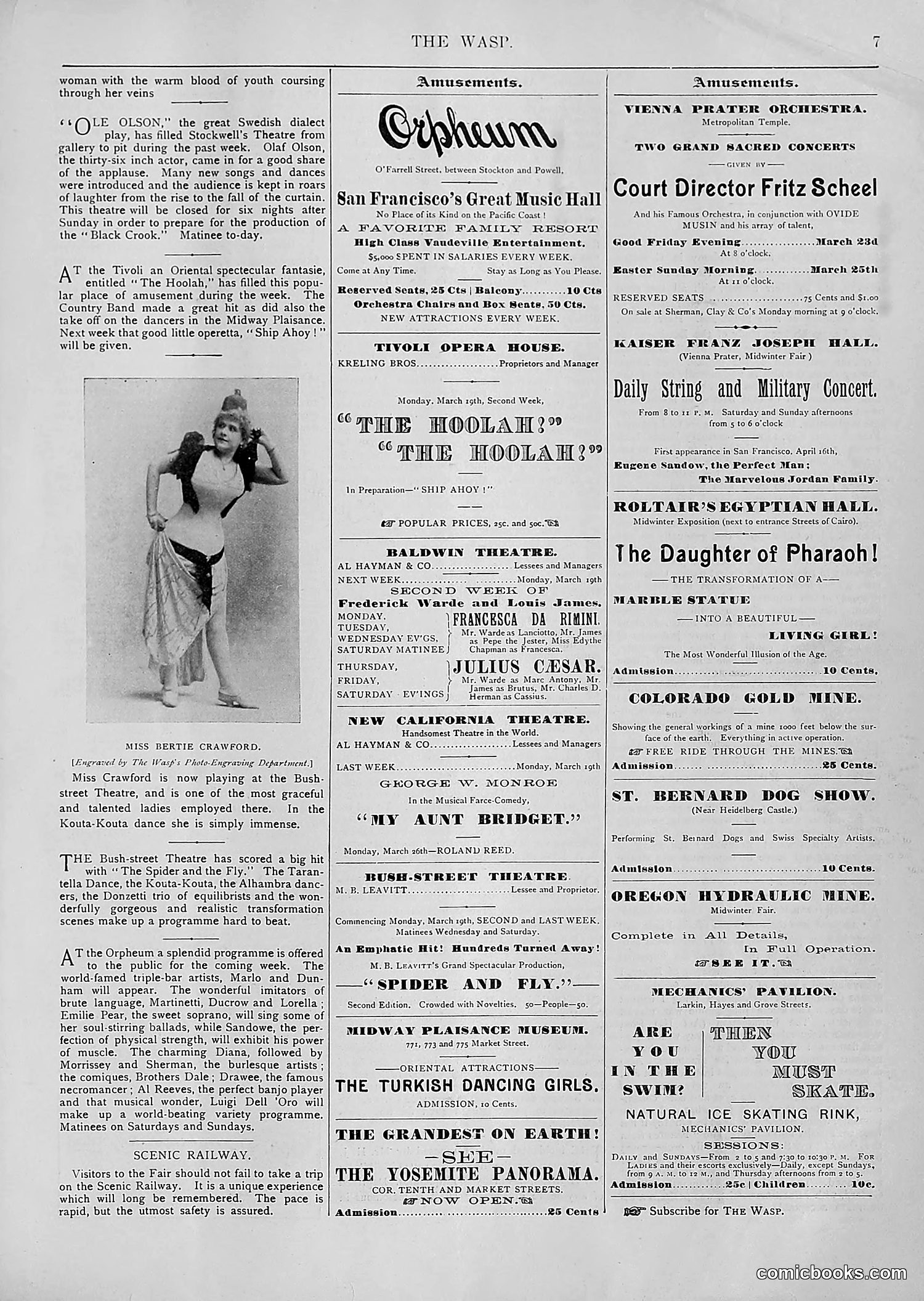 The Wasp — 1894 — page 222 of 552