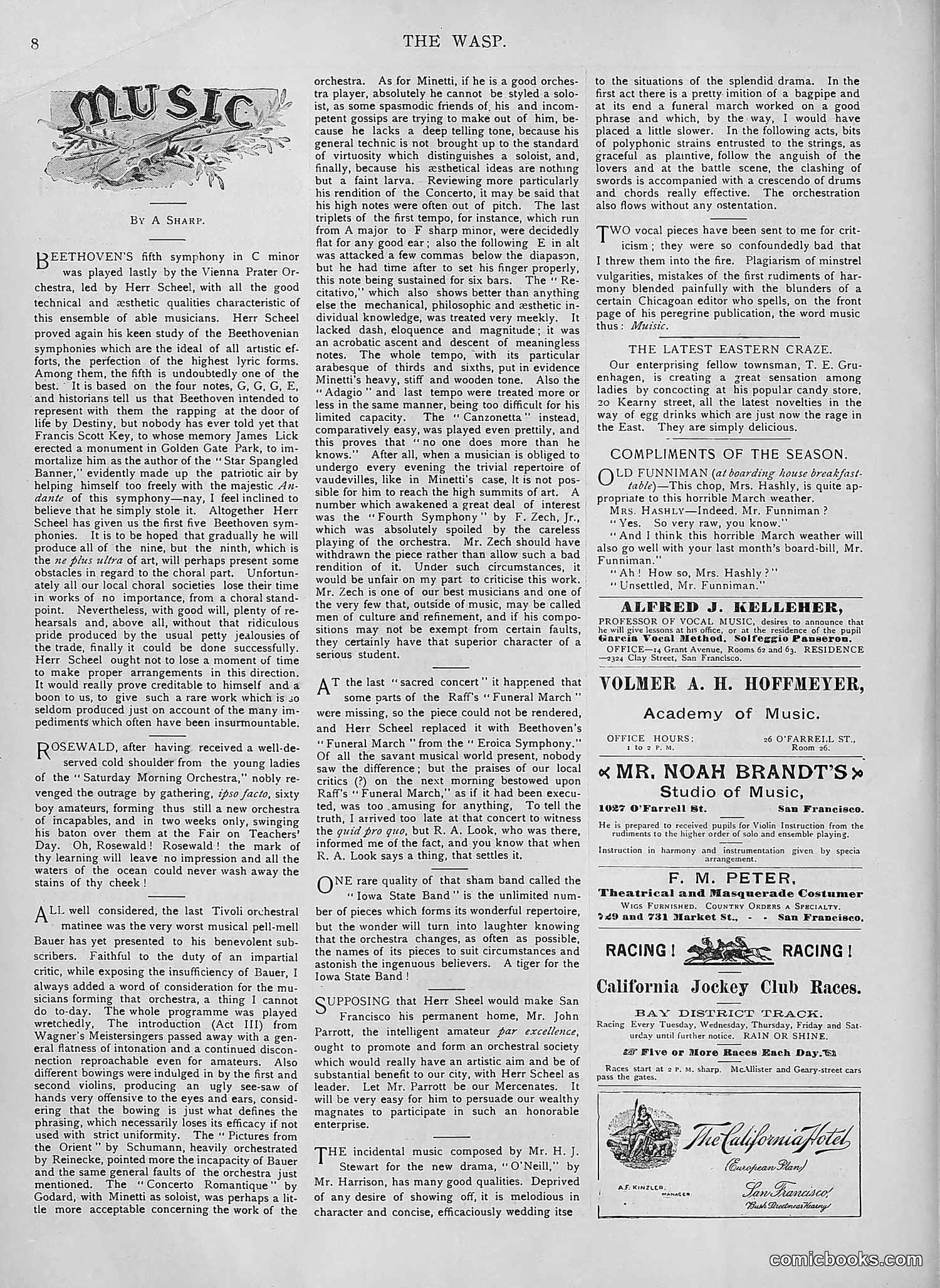 The Wasp — 1894 — page 223 of 552