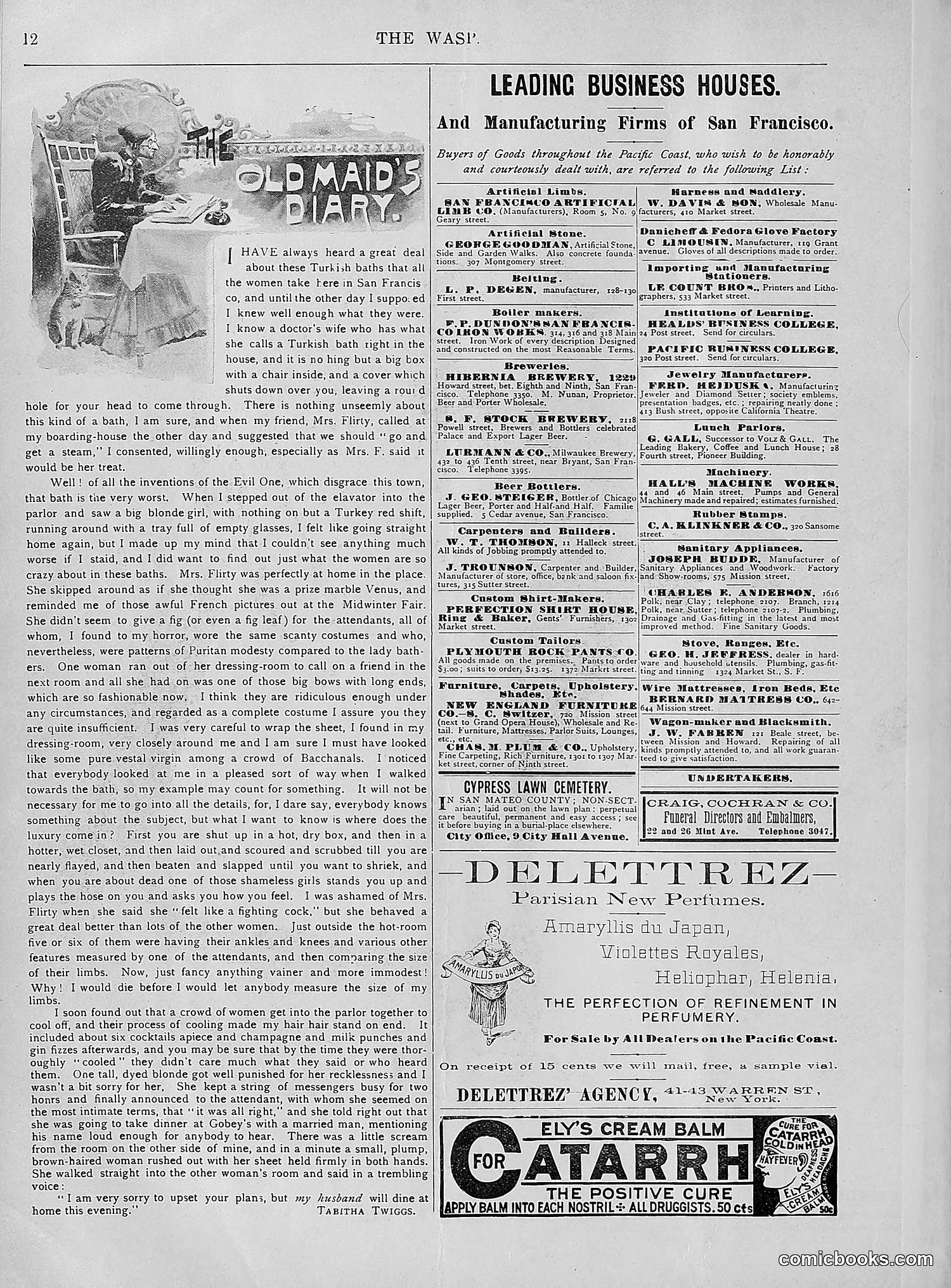 The Wasp — 1894 — page 227 of 552
