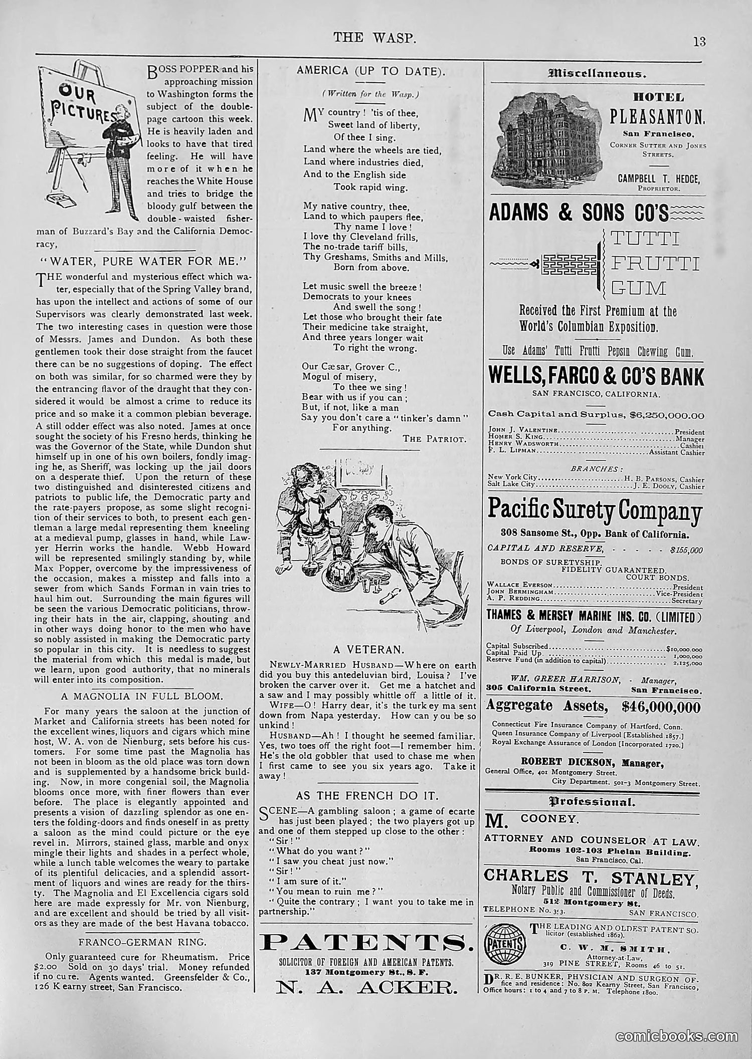 The Wasp — 1894 — page 228 of 552