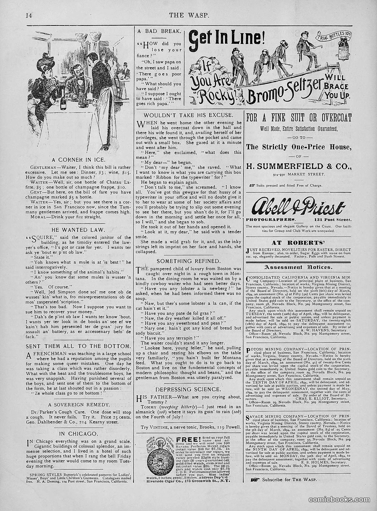 The Wasp — 1894 — page 229 of 552