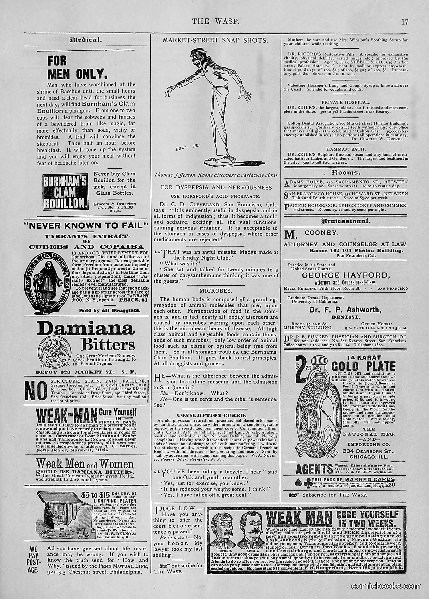 The Wasp — 1894 — page 24 of 552