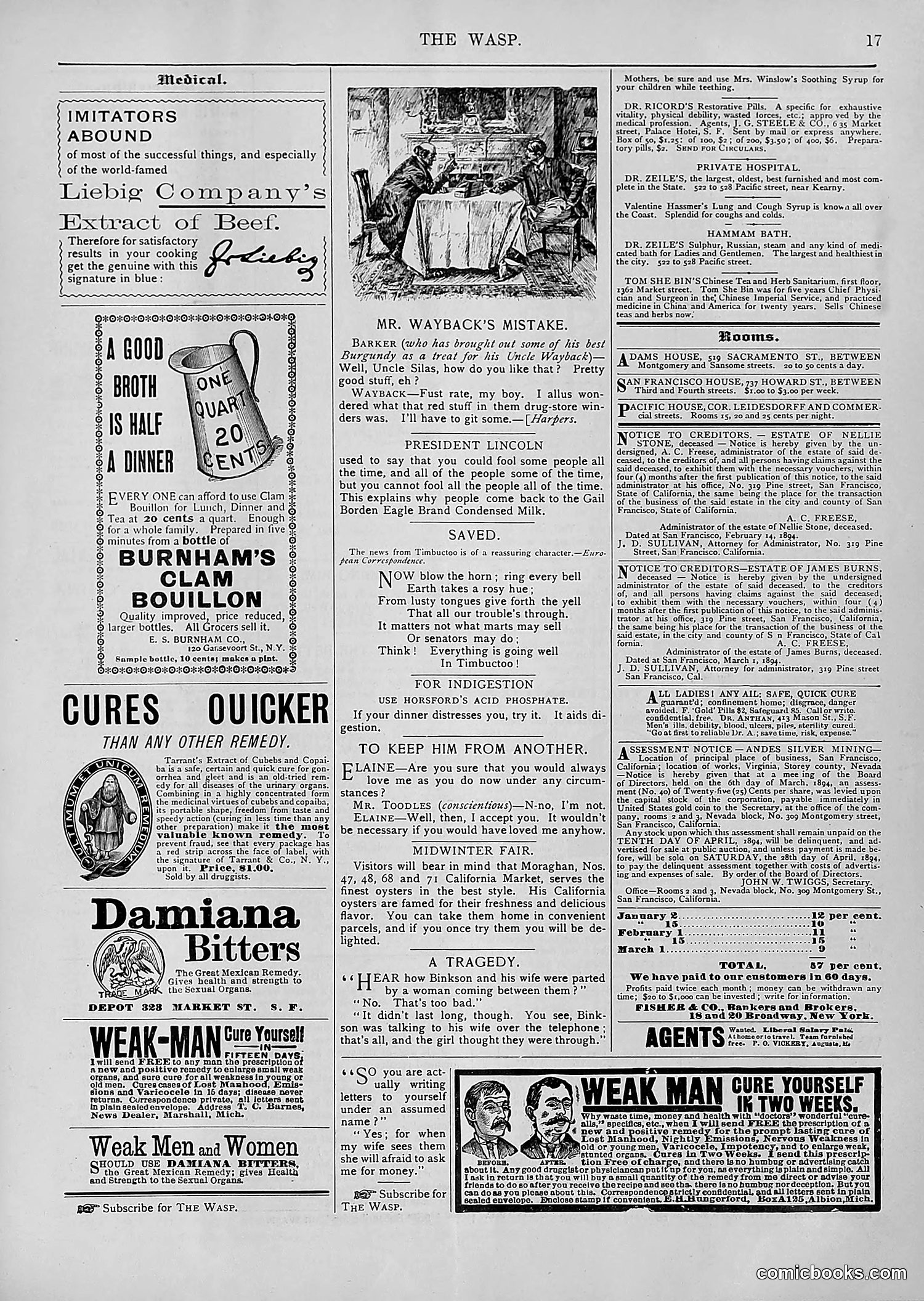 The Wasp — 1894 — page 232 of 552