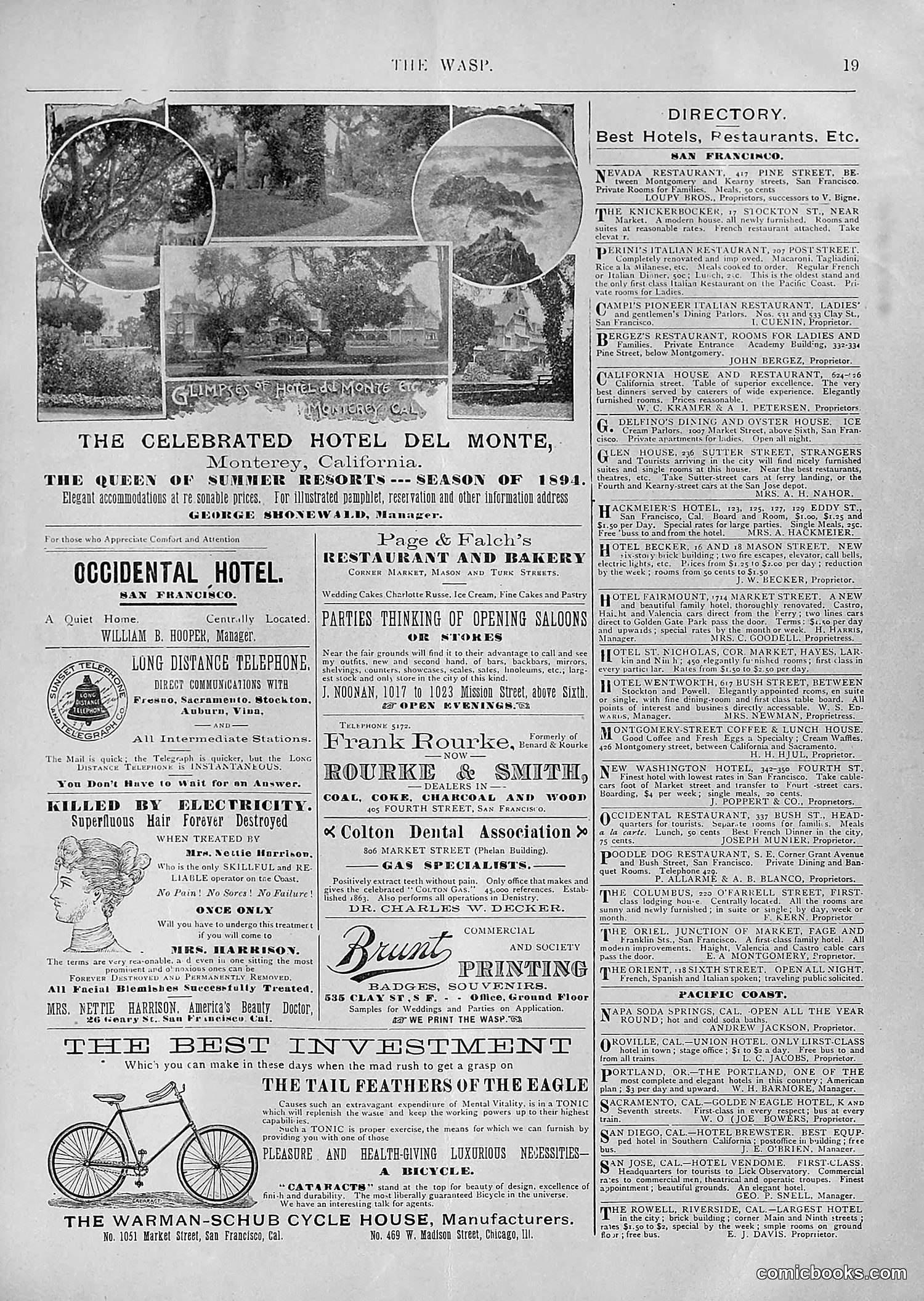 The Wasp — 1894 — page 234 of 552