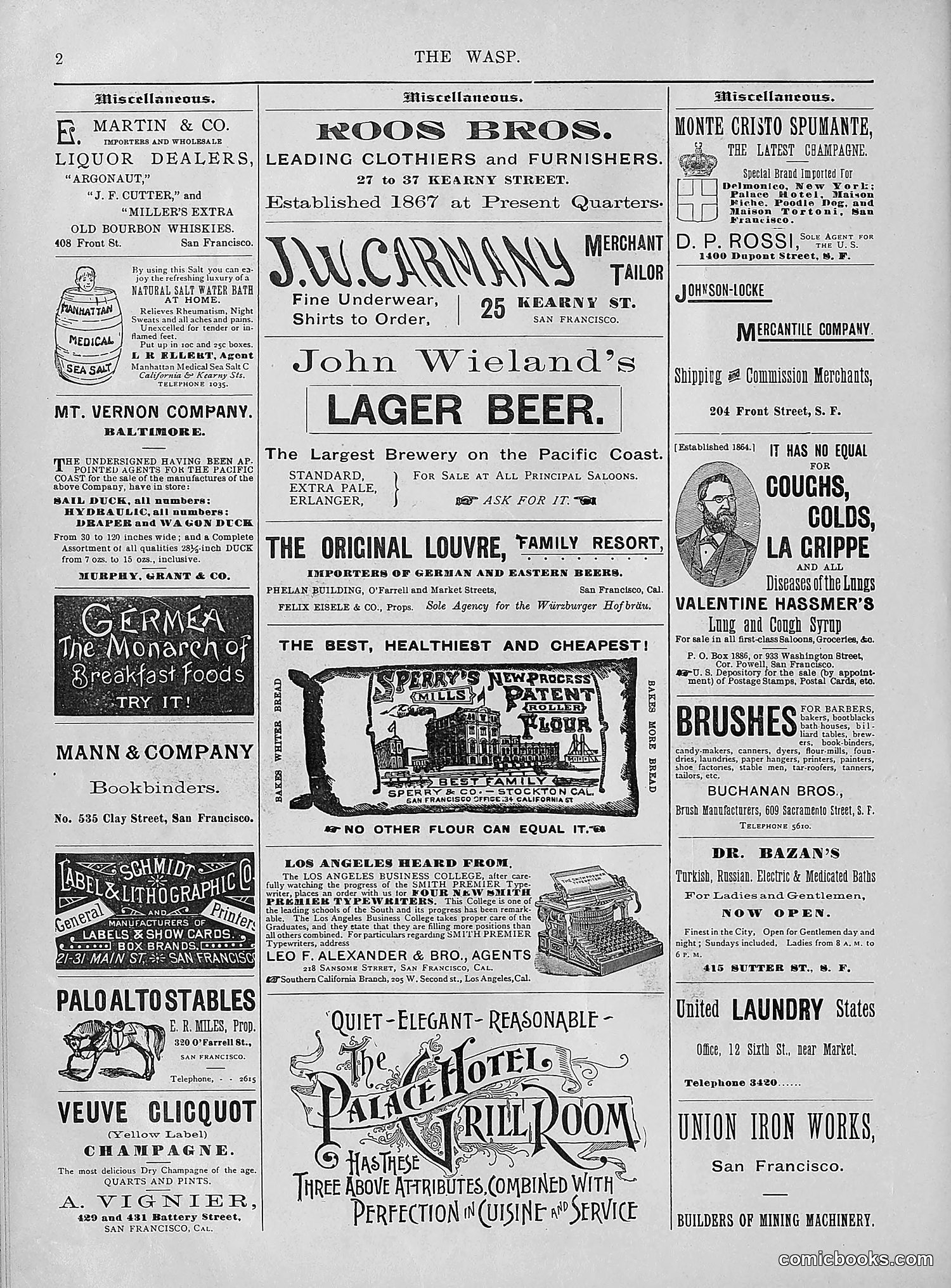The Wasp — 1894 — page 237 of 552